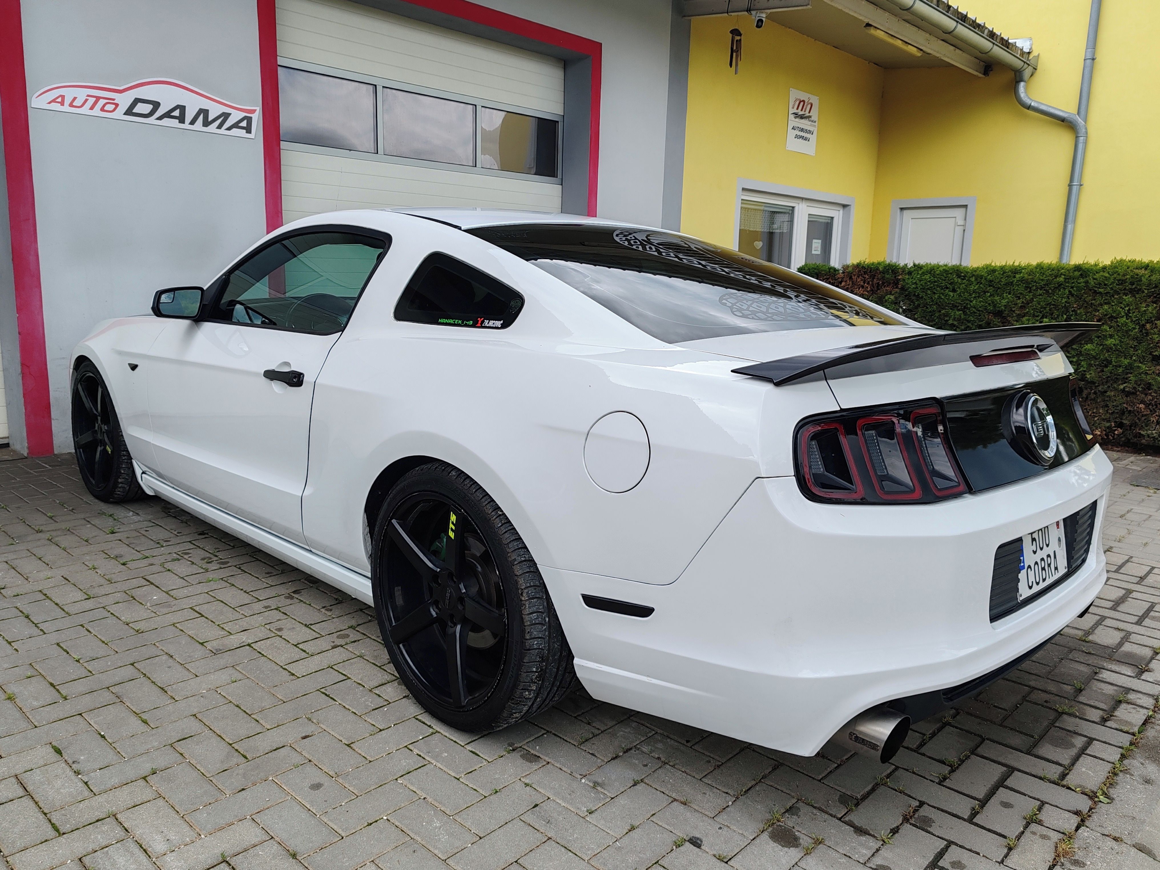 Ford Mustang, 5.0 GT CCA 500PS - fotka 6