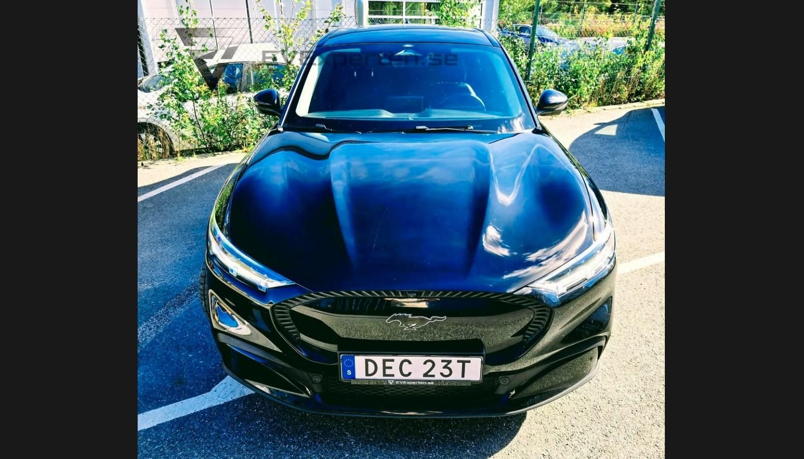 Ford Mustang Mach-E, Long Range 360 kamera Tažné - fotka 4