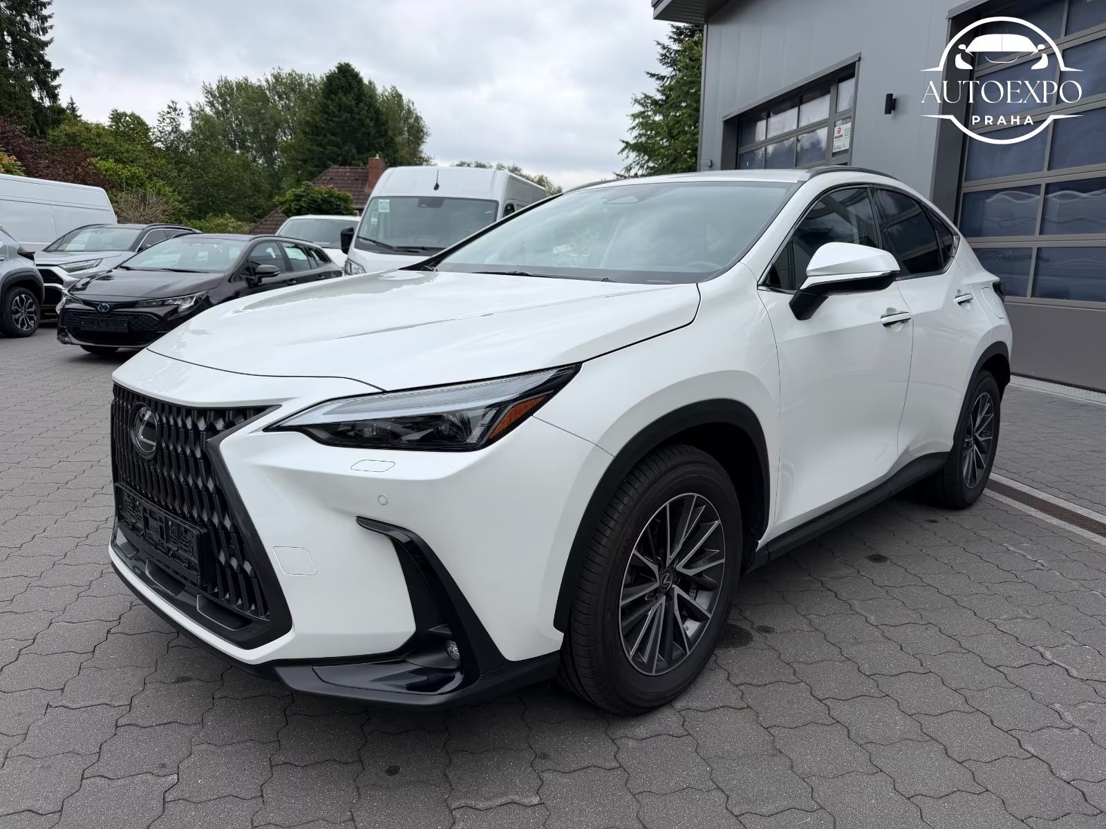 Lexus NX 450h, + E-FOUR Business - fotka 3