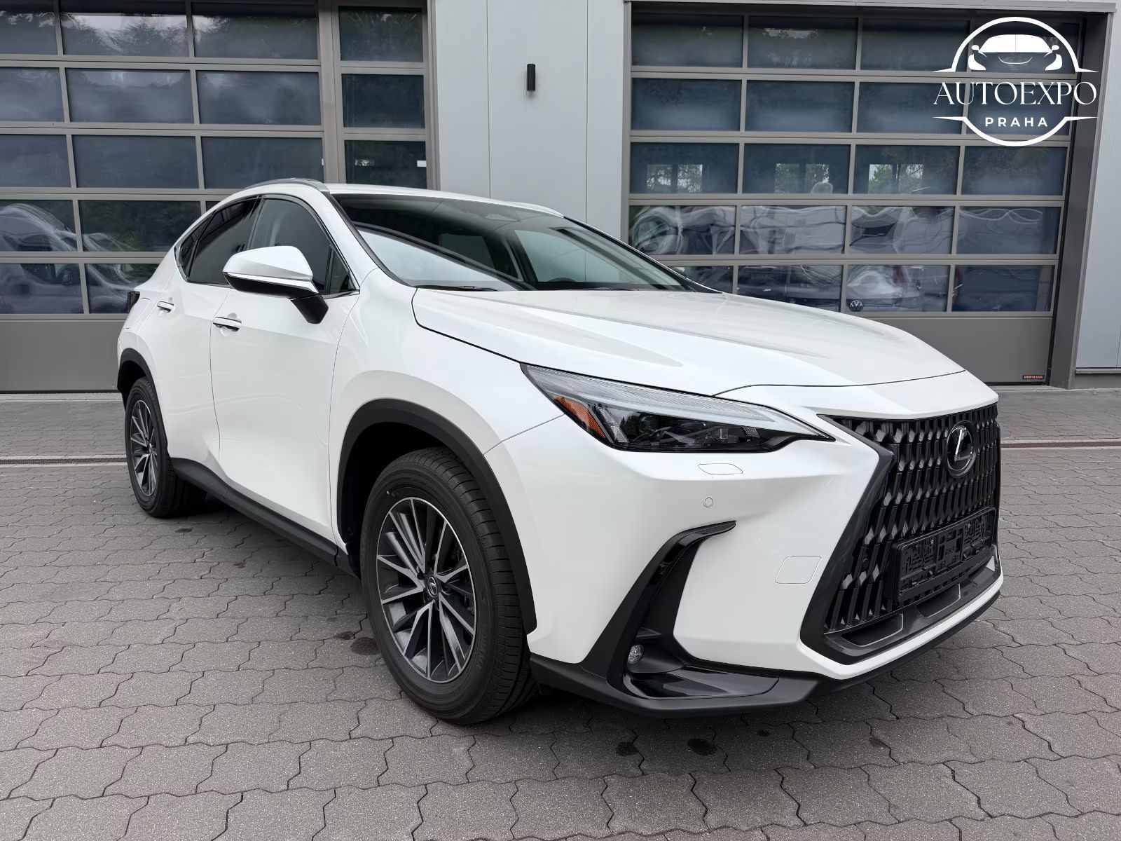 Lexus NX 450h, + E-FOUR Business