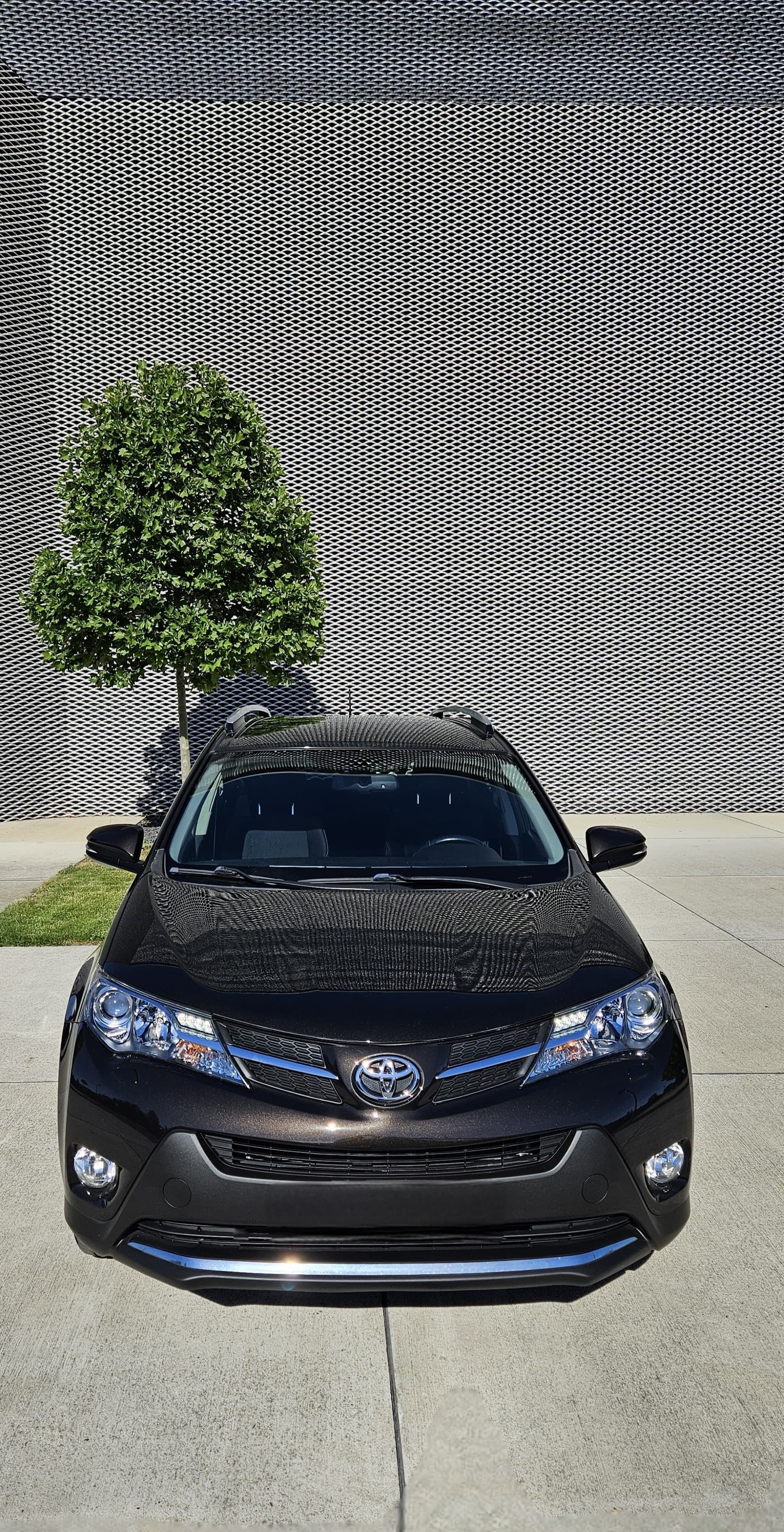 Toyota Rav4, Rav4