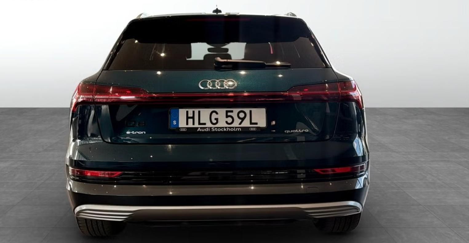 Audi e-tron, 55 Quattro Kamera 4 zóny LED - fotka 5