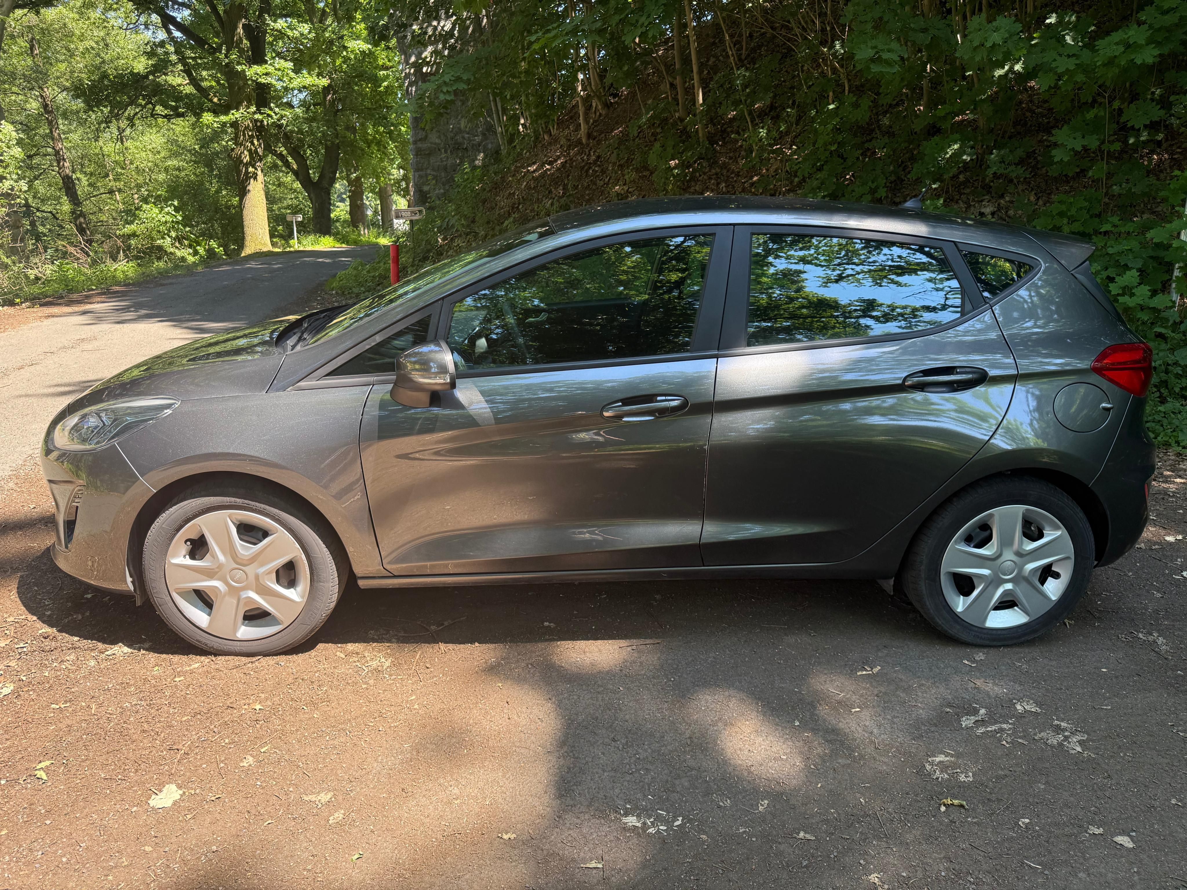 Ford Fiesta, 1,5 TDCi 63 KW.jen 103t.km - fotka 5