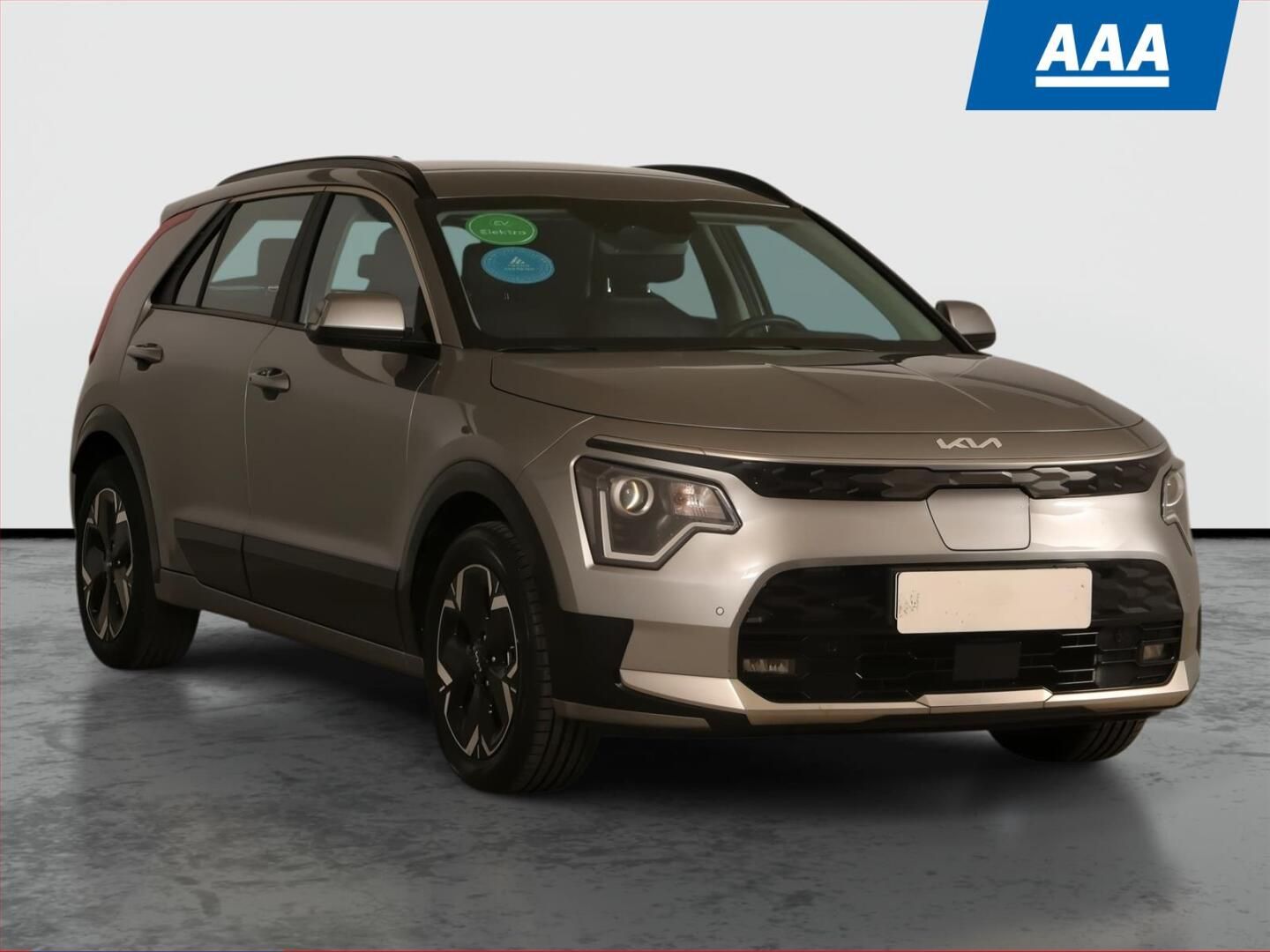 Kia Niro EV, EV, SoH 100%, Automat, Kůže