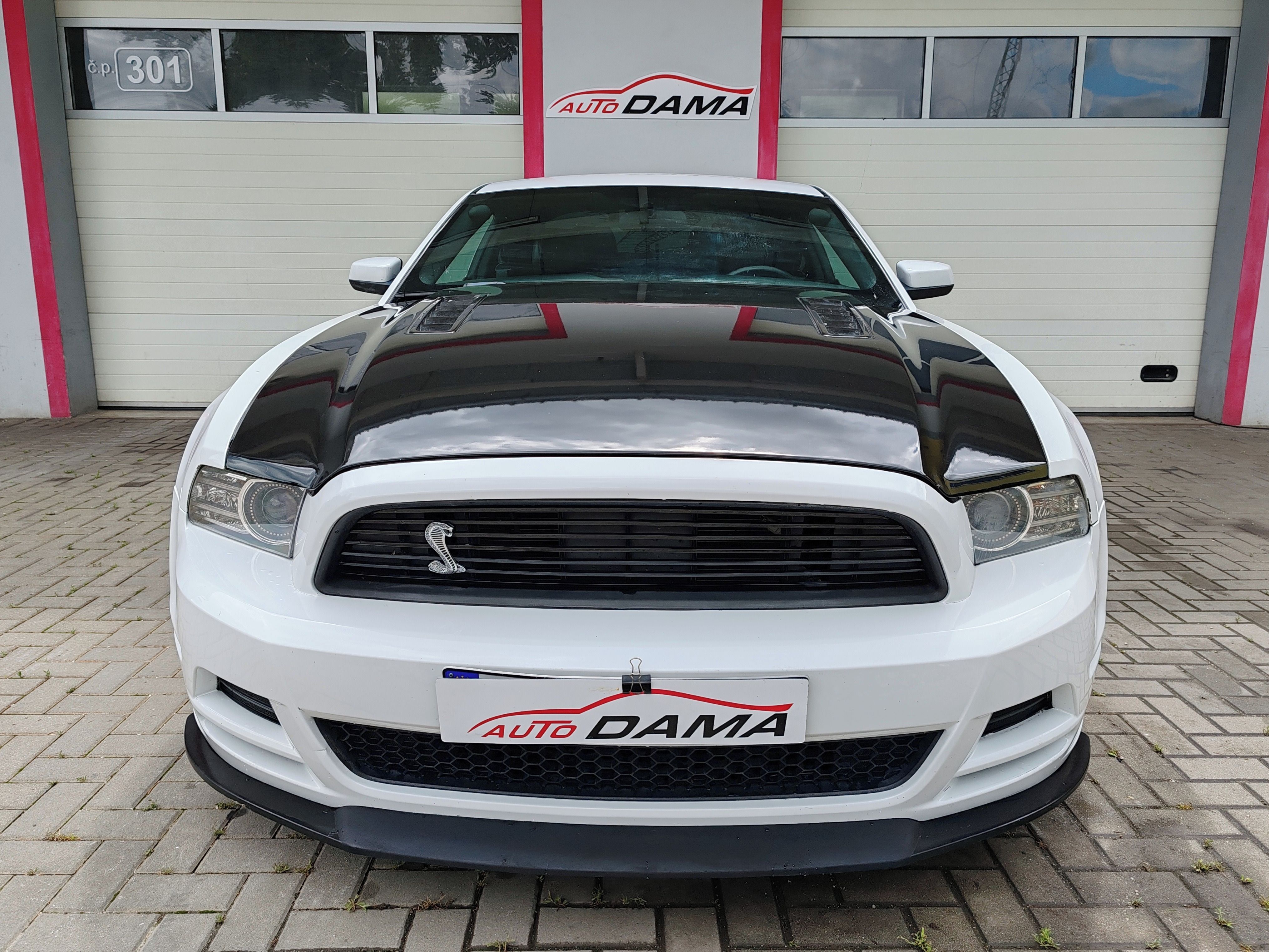Ford Mustang, 5.0 GT CCA 500PS - fotka 2