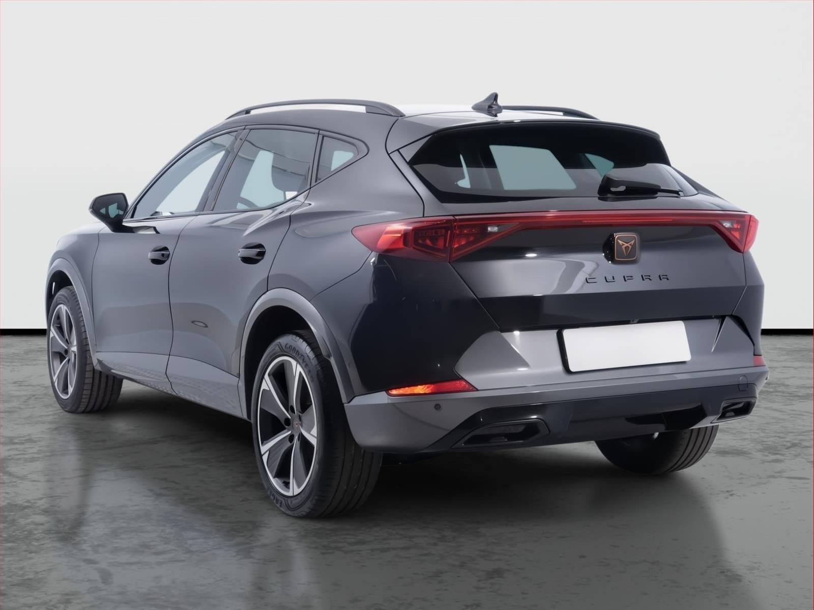 Cupra Formentor, 2.0 TSI 4Drive, 4X4, Automat - fotka 4
