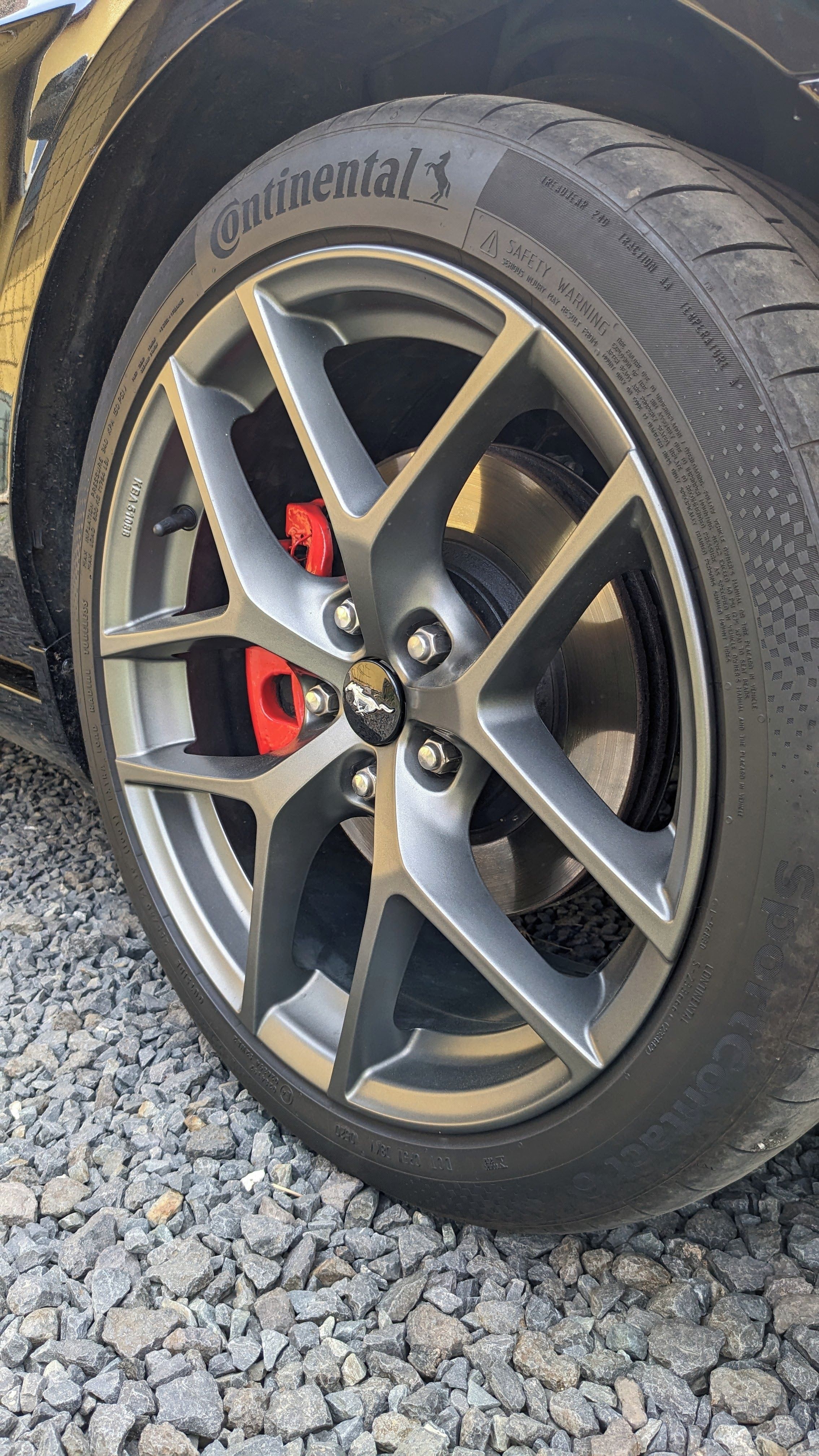 Ford Mustang, 3.7 Facelift ROUSH,BORBET,K&N - fotka 2