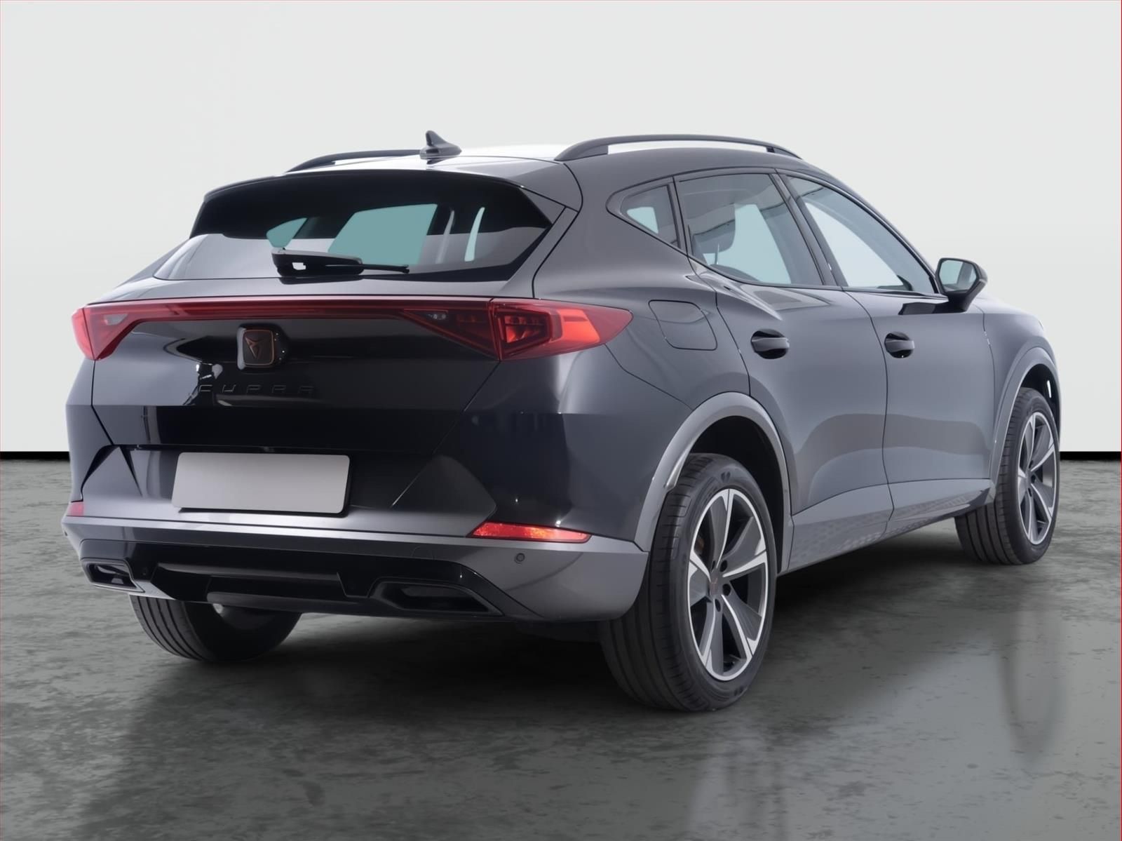 Cupra Formentor, 2.0 TSI 4Drive, 4X4, Automat - fotka 5