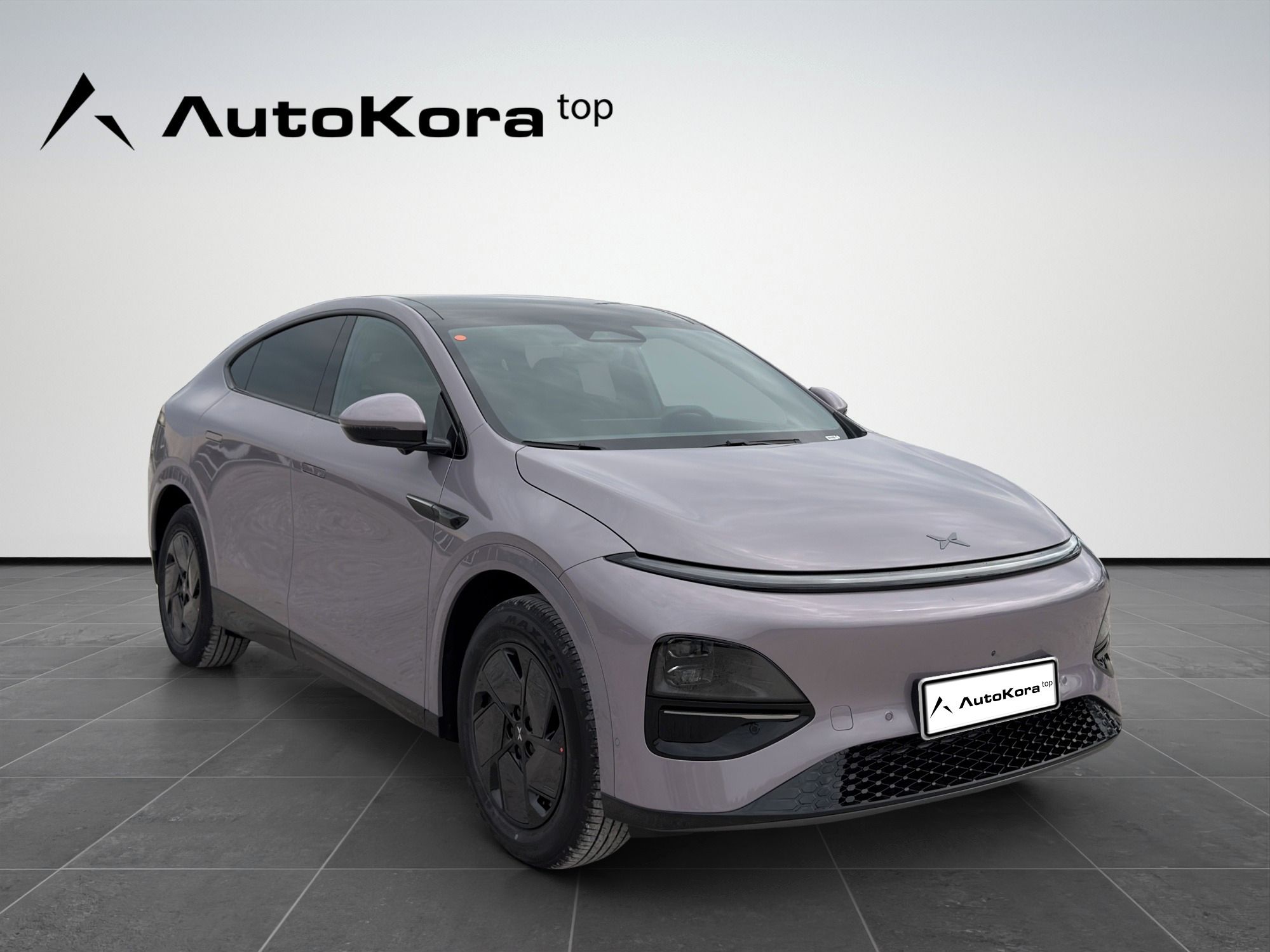 XPENG G6, RWD Long Range, 218kW