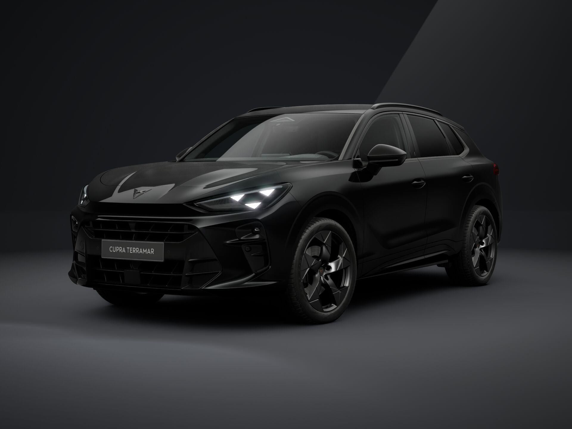Cupra Terramar, 2.0 TSI / 150 kW