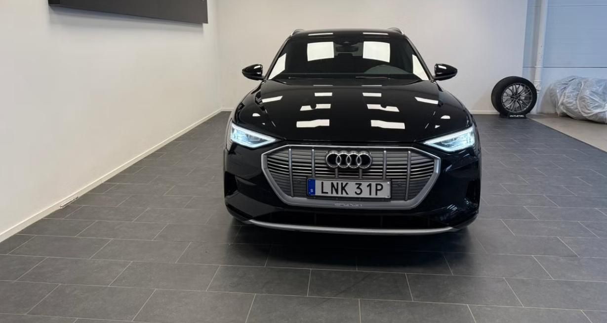 Audi e-tron, 55 Quattro Kamera Vzduch LED - fotka 4