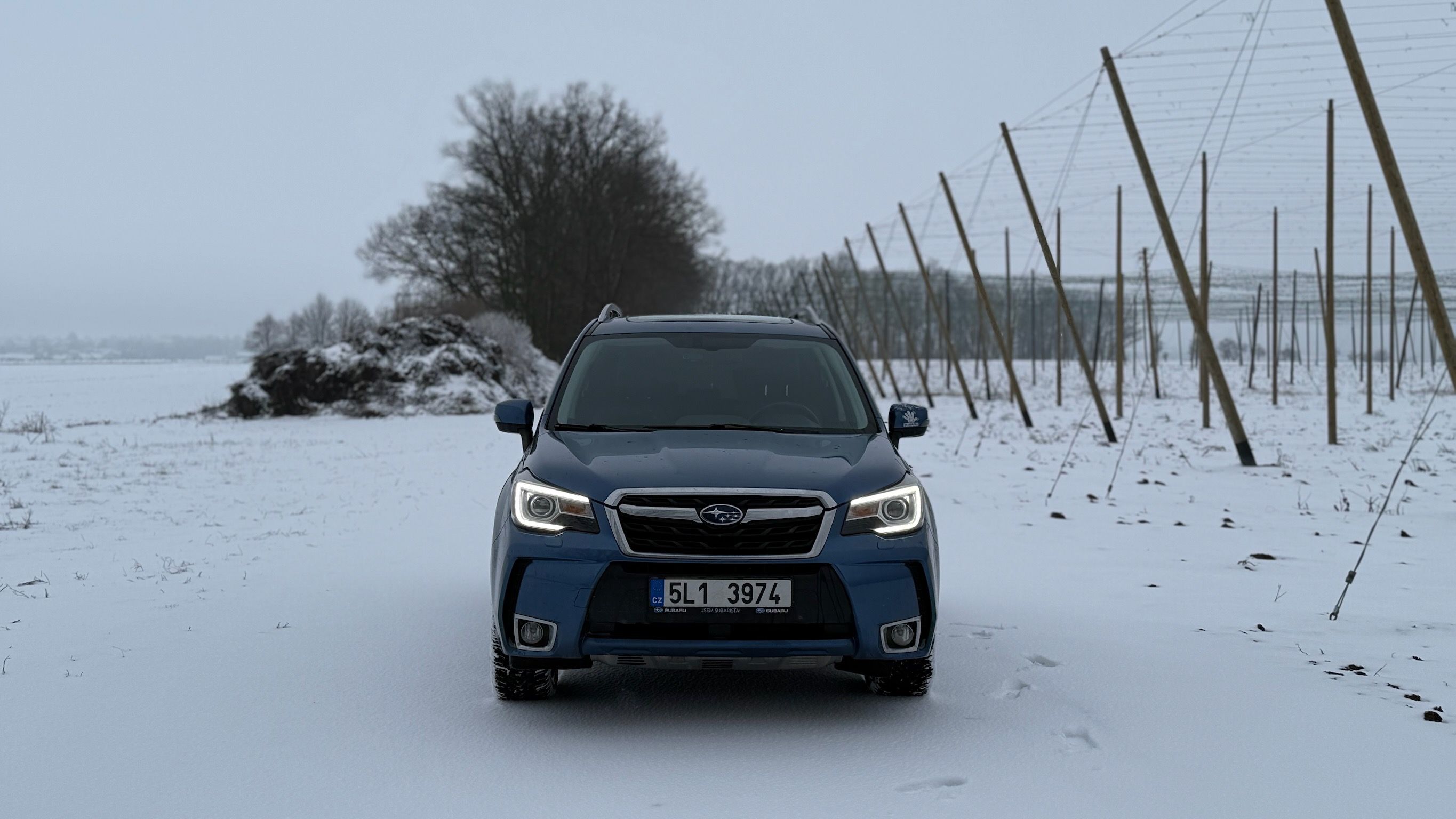 Subaru Forester, 2.0T - fotka 4