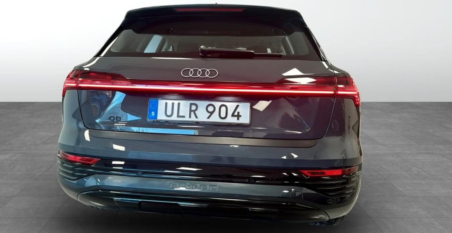 Audi Q8 e-tron, 55 Quattro Kamera Ambient LED - fotka 5