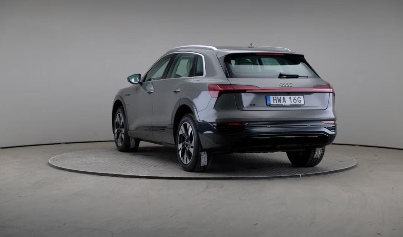 Audi Q8 e-tron, 55 Quattro Kamera Ambient LED - fotka 2