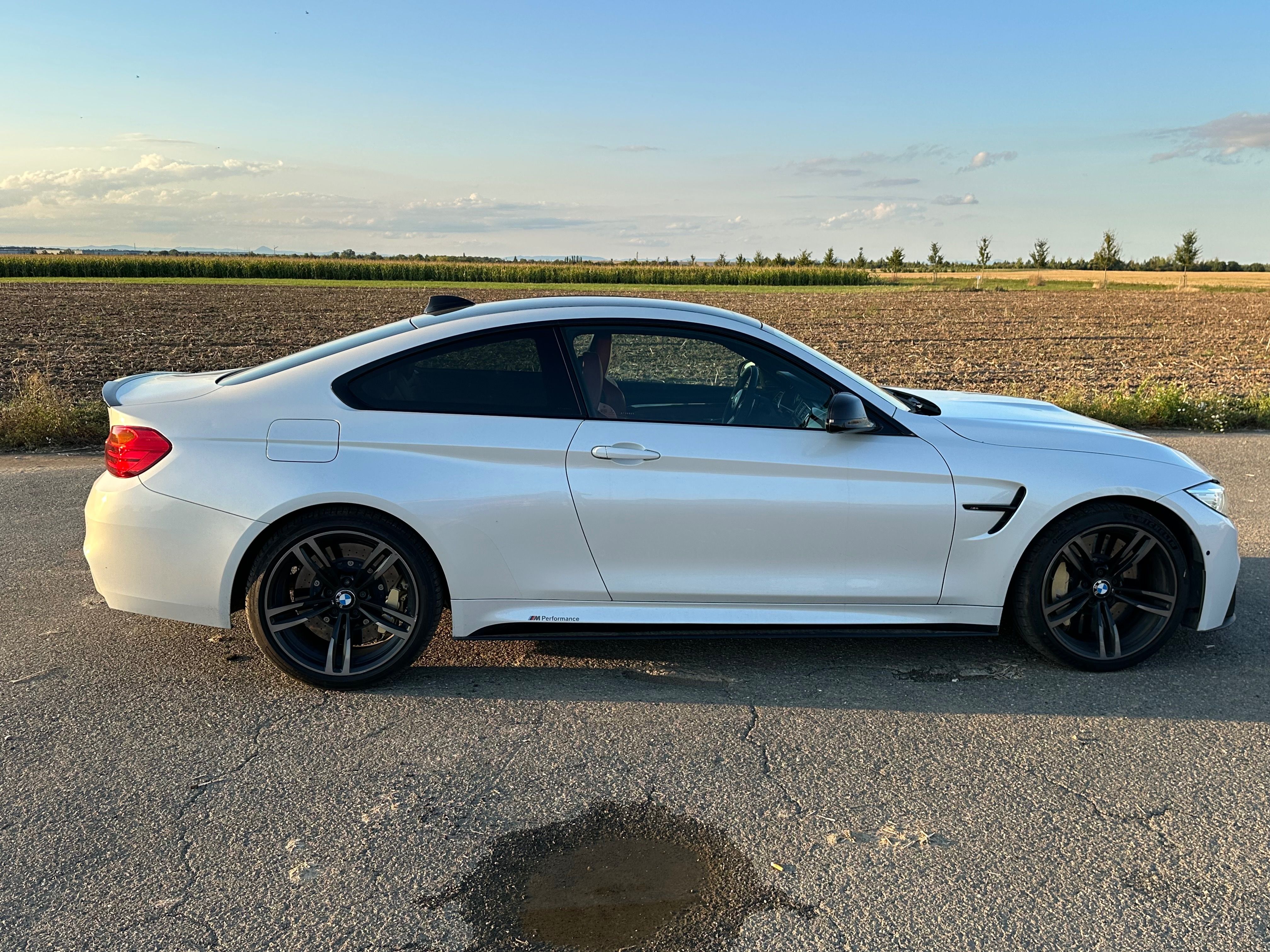 BMW M4, BMW M4 - fotka 6
