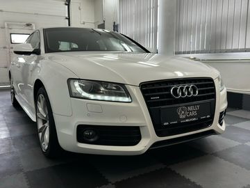 QUATTRO / 2 SADY GUM