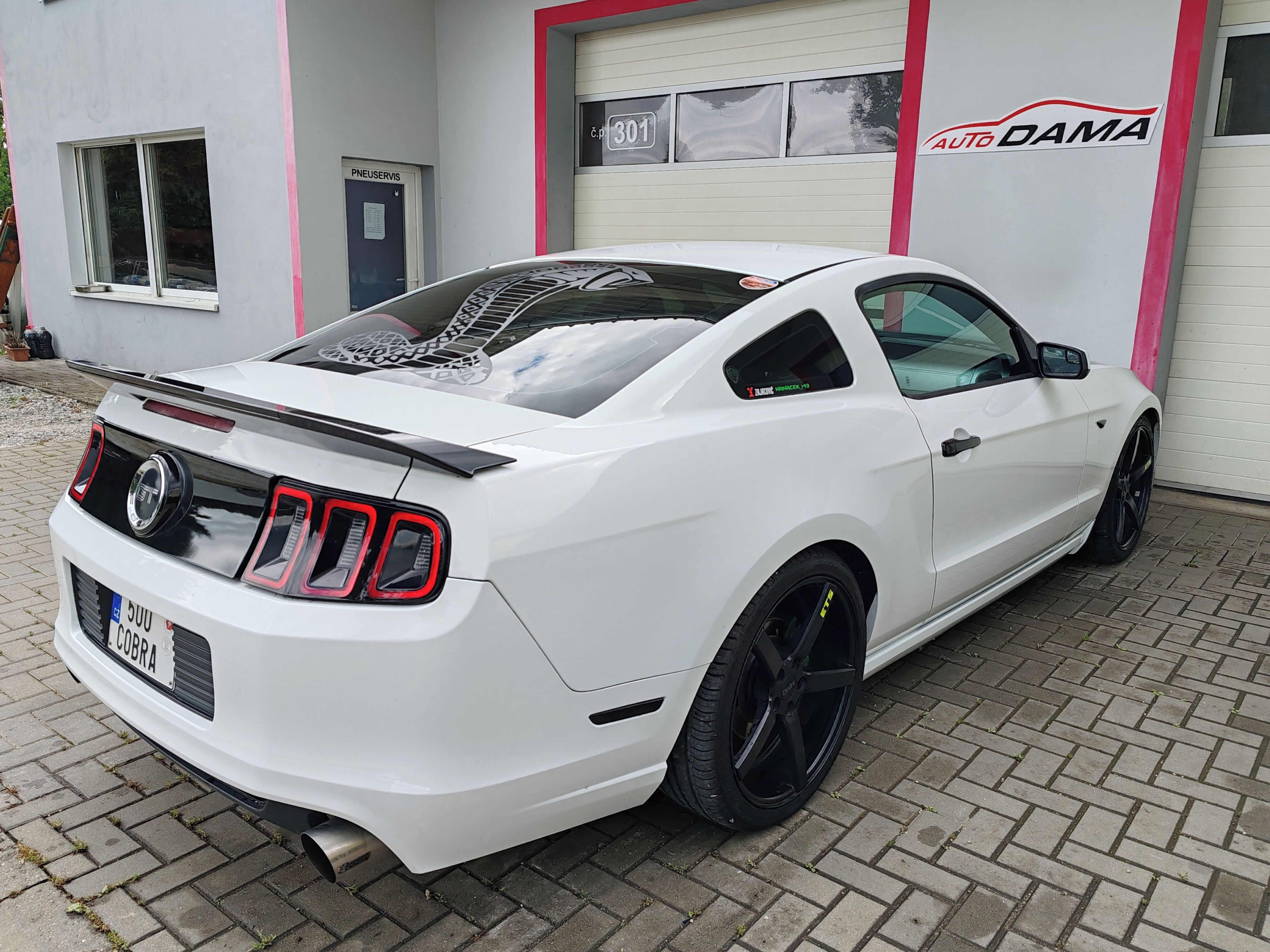 Ford Mustang, 5.0 GT CCA 500PS - fotka 4