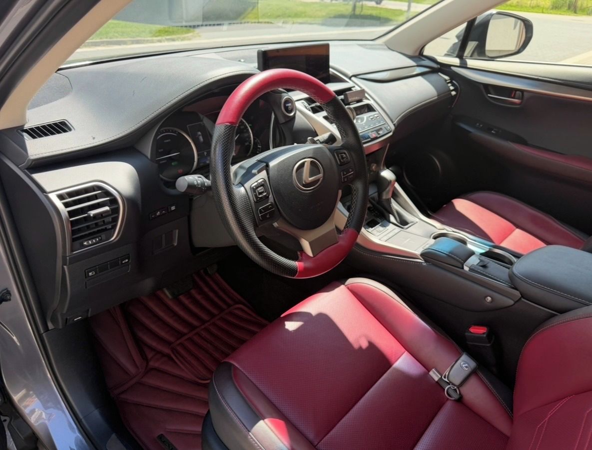 Lexus NX 300h, NX 300h, ČR, STK 2028 - fotka 5