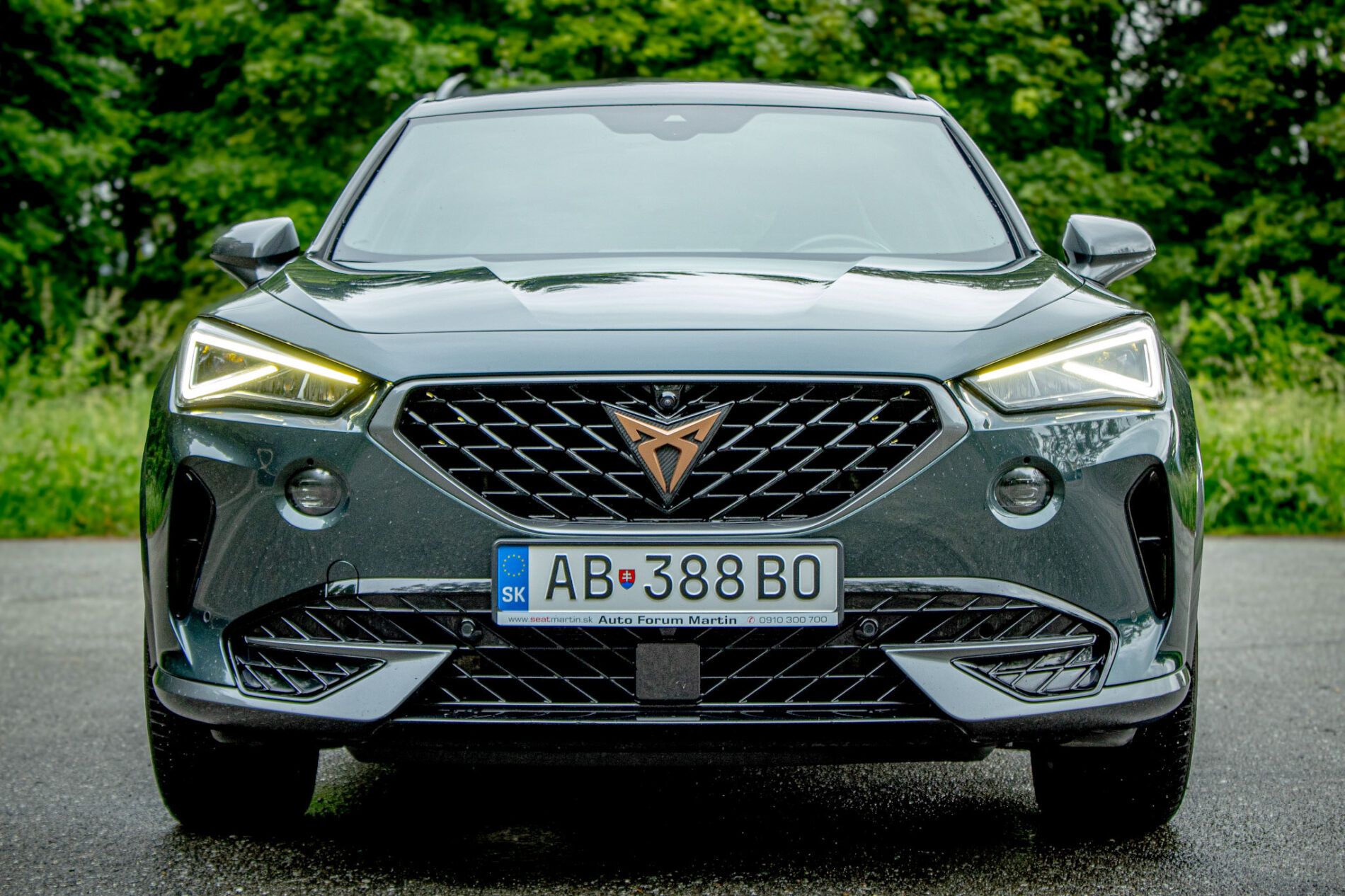 Cupra Formentor - fotka 2