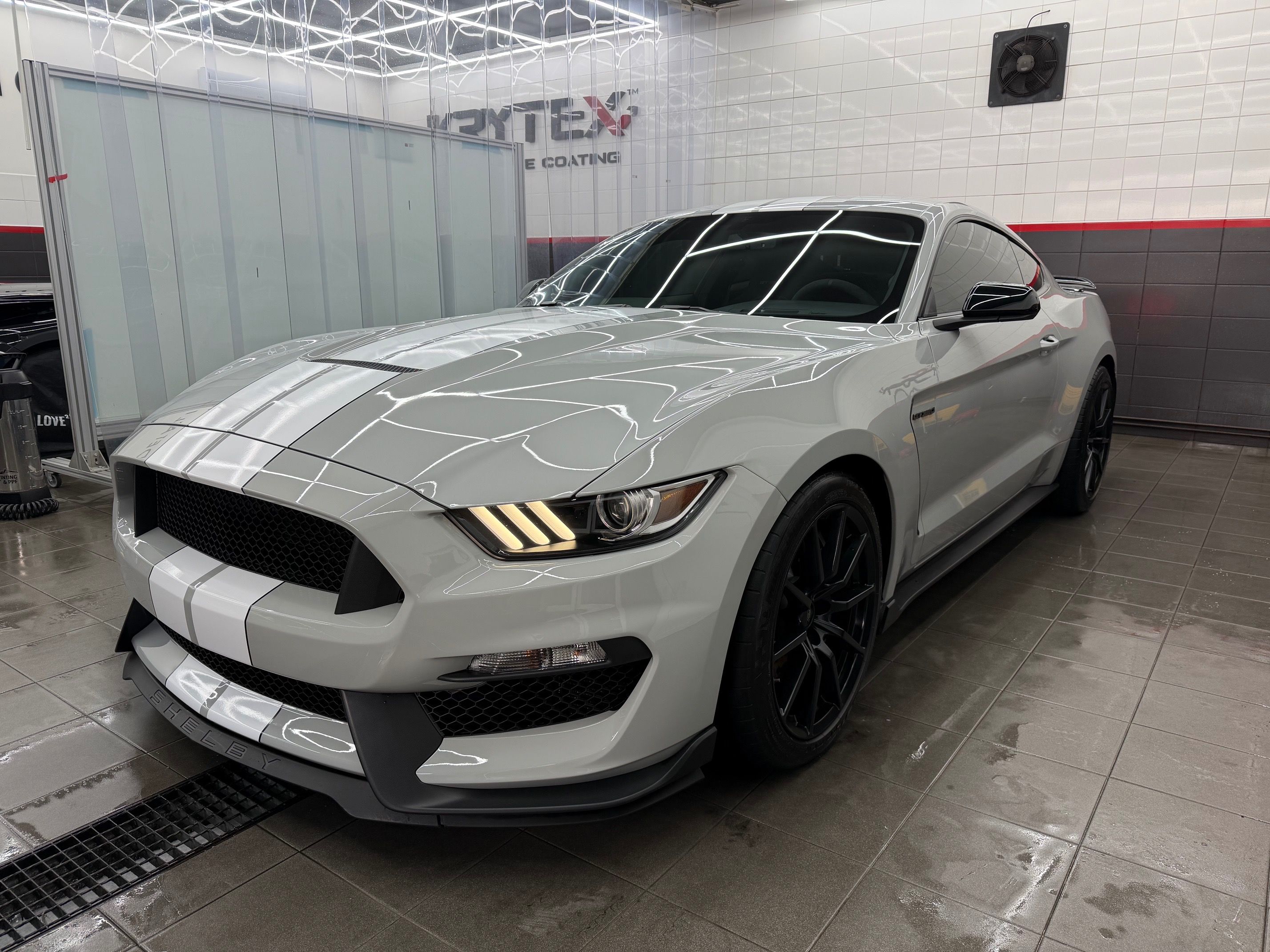 Ford Mustang, 5.2L GT350 Shelby,RECARO - fotka 4