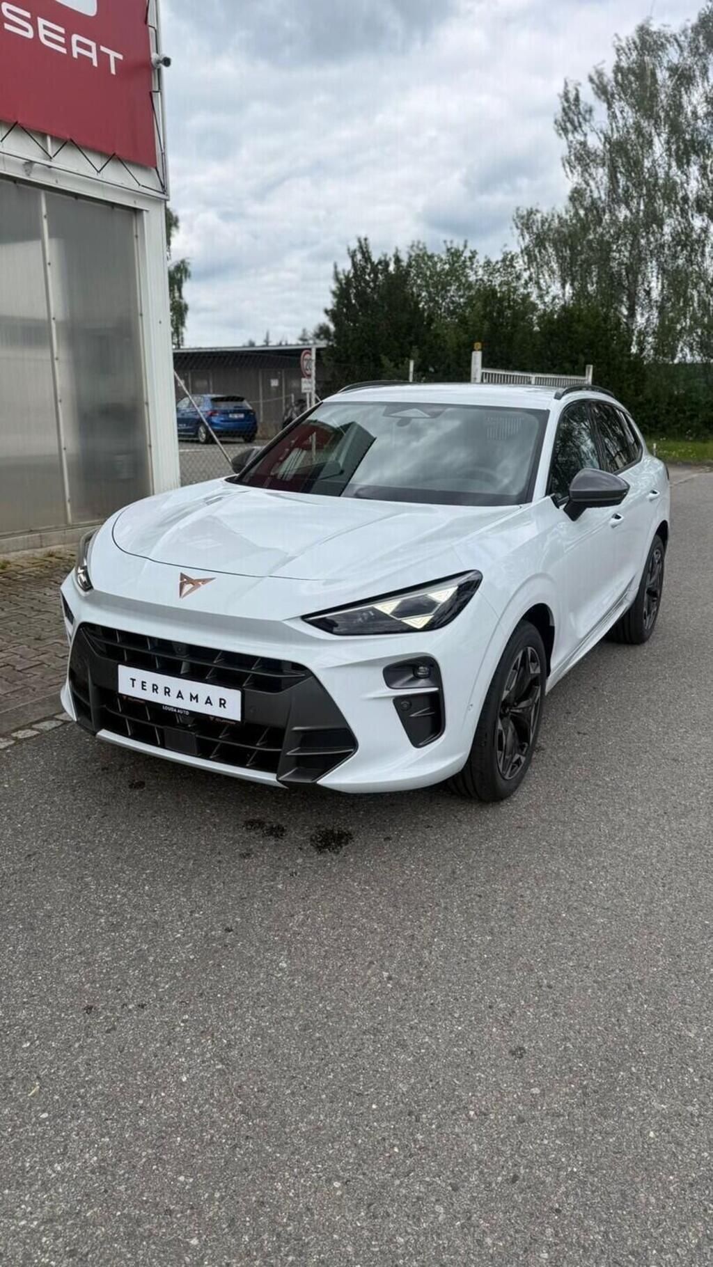 Cupra Terramar, 2.0 TSI 4WD 150 kW