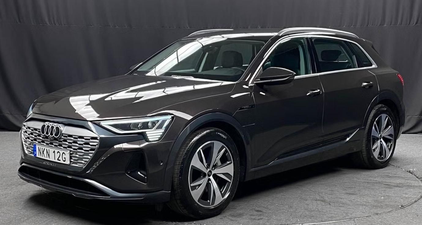 Audi Q8 e-tron, 55 Quattro Kamera Matrix Tažné