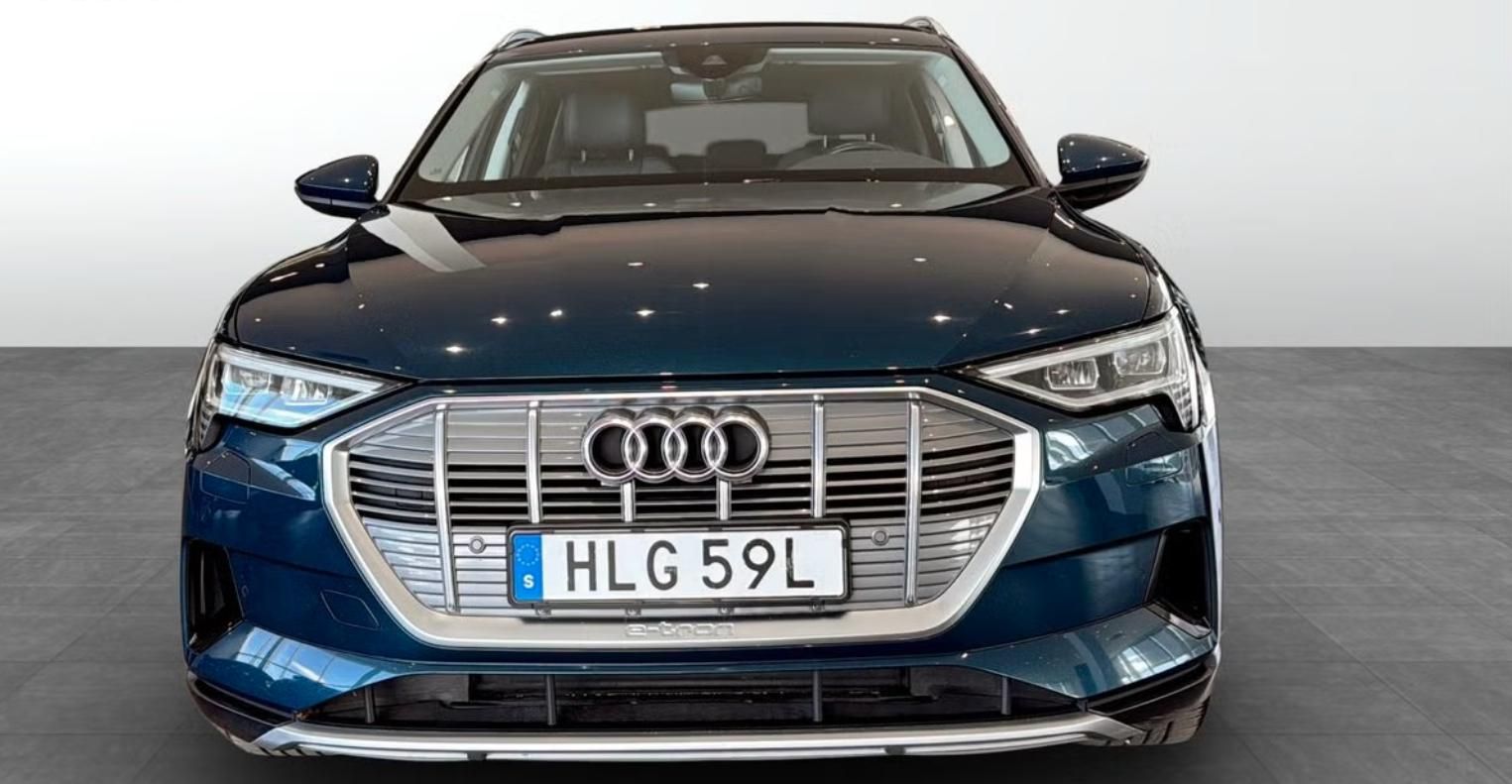 Audi e-tron, 55 Quattro Kamera 4 zóny LED - fotka 4