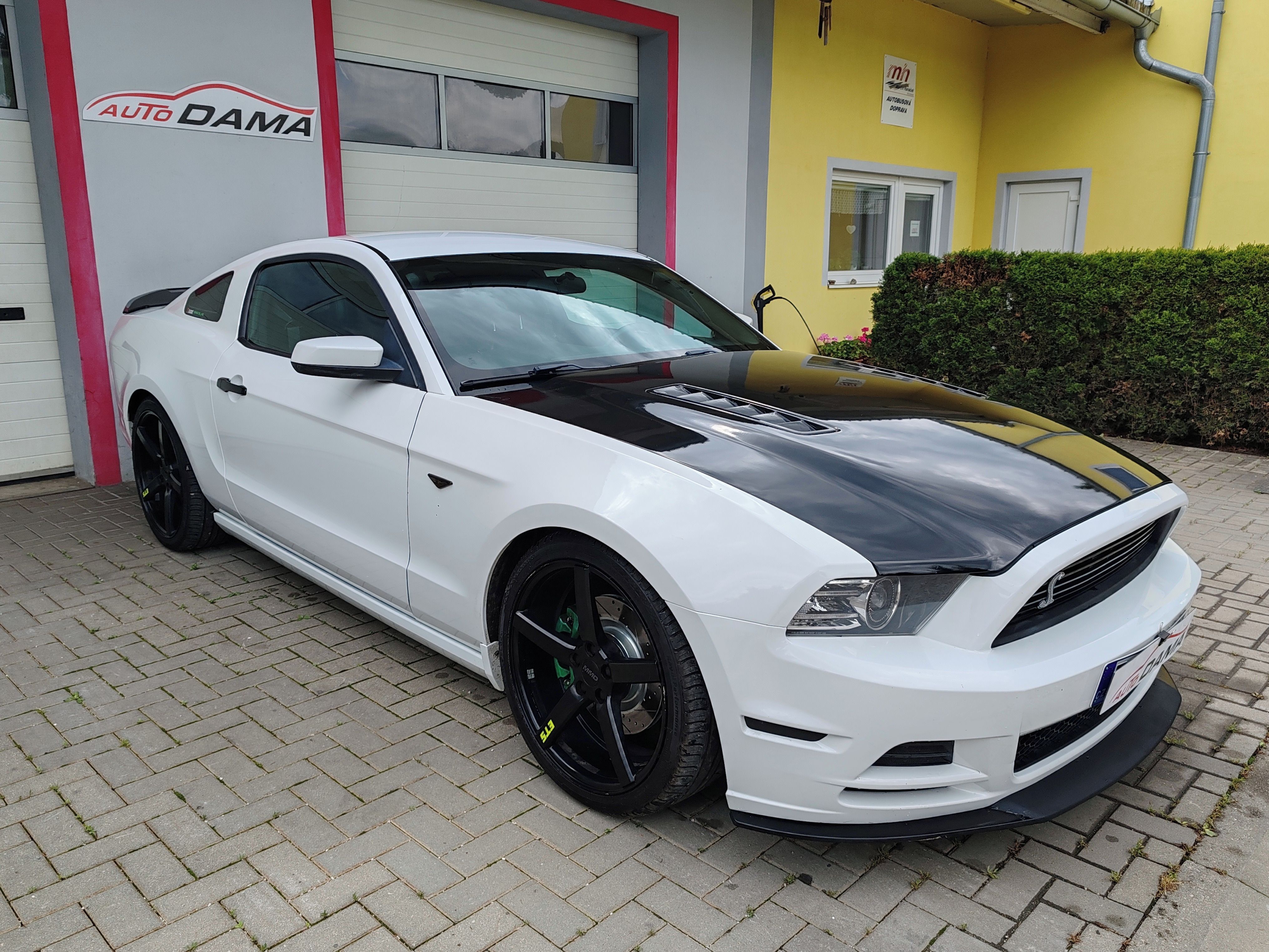 Ford Mustang, 5.0 GT CCA 500PS - fotka 3