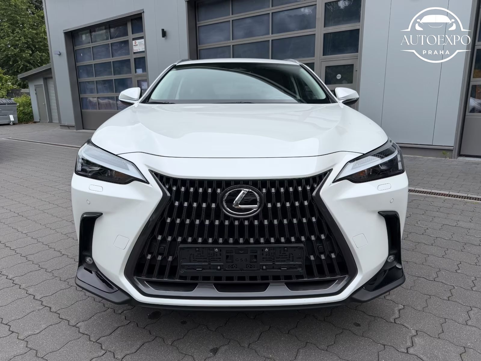 Lexus NX 450h, + E-FOUR Business - fotka 2