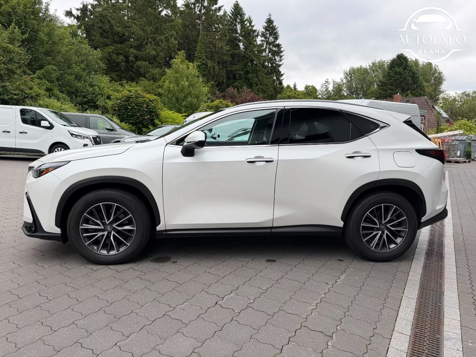Lexus NX 450h, + E-FOUR Business - fotka 4