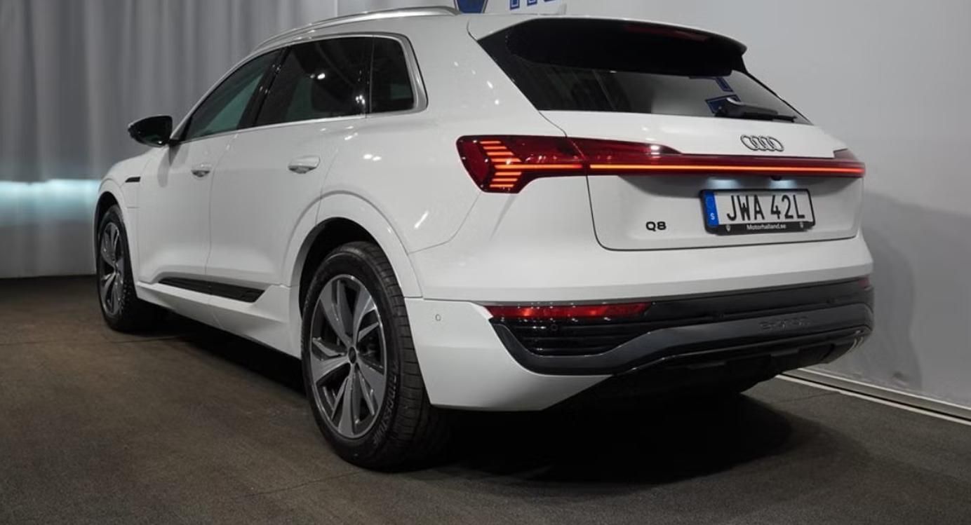 Audi Q8 e-tron, 55 Q Panorama Kamera Ambient - fotka 3