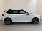 Škoda Kamiq, Dynamic 1,5TSI 110kW 7DSG