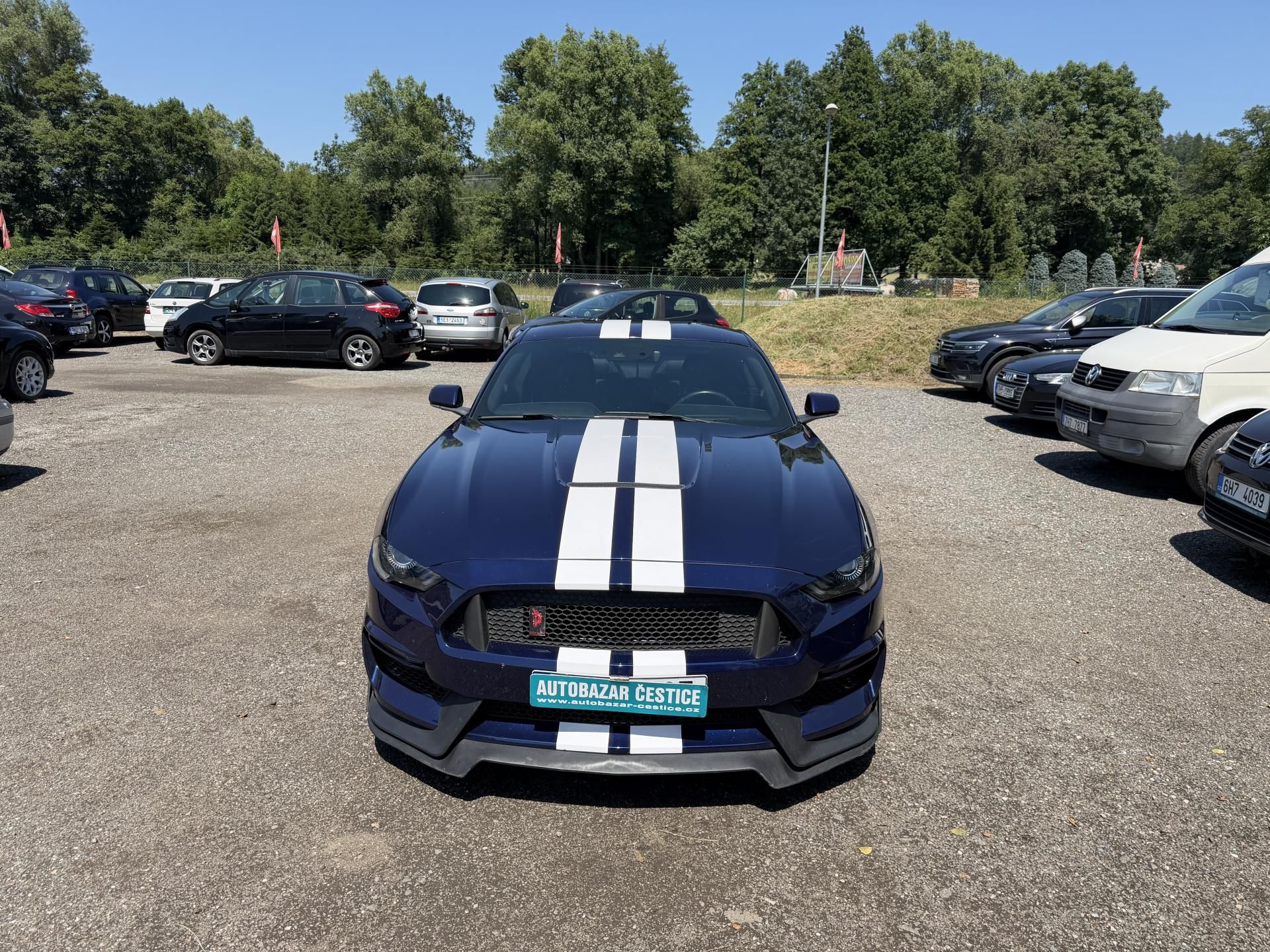 Ford Mustang, 5.0 V8 Perfomence Coyot - fotka 2
