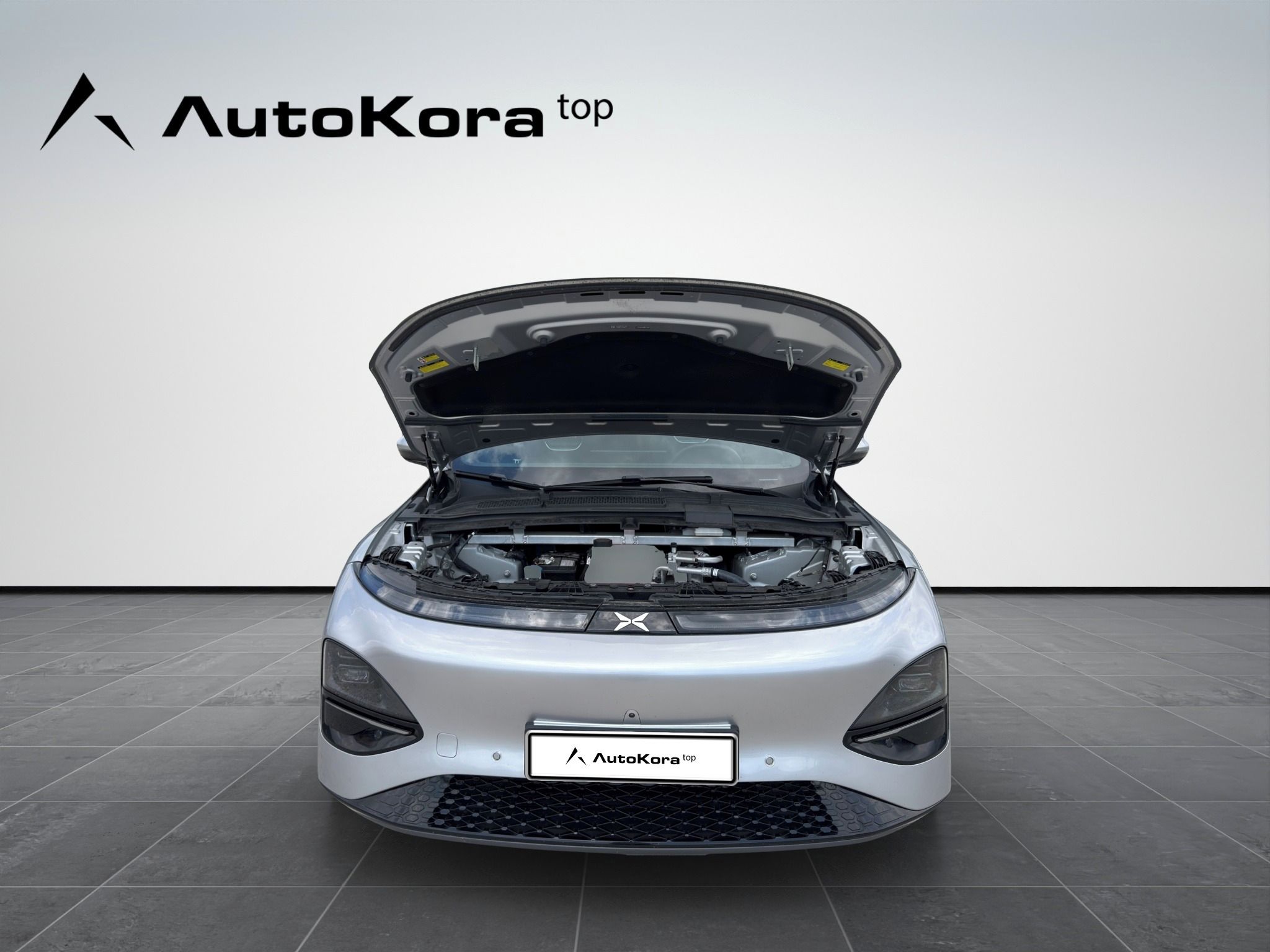 XPENG G6, AWD Performance, 350kW - fotka 3
