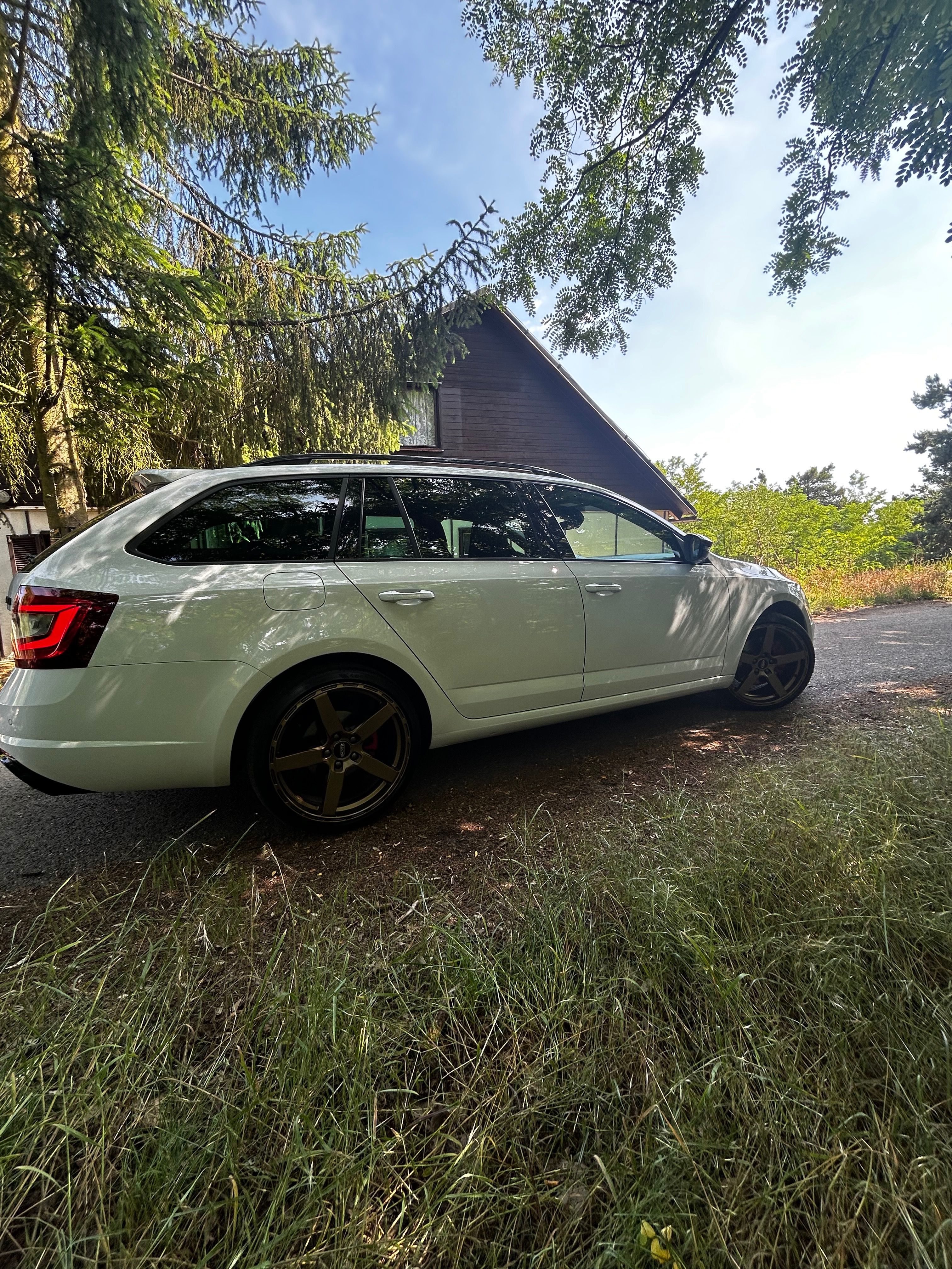 Škoda Octavia, RS, 2.0 TDI, 4x4, DSG, Tažné - fotka 3