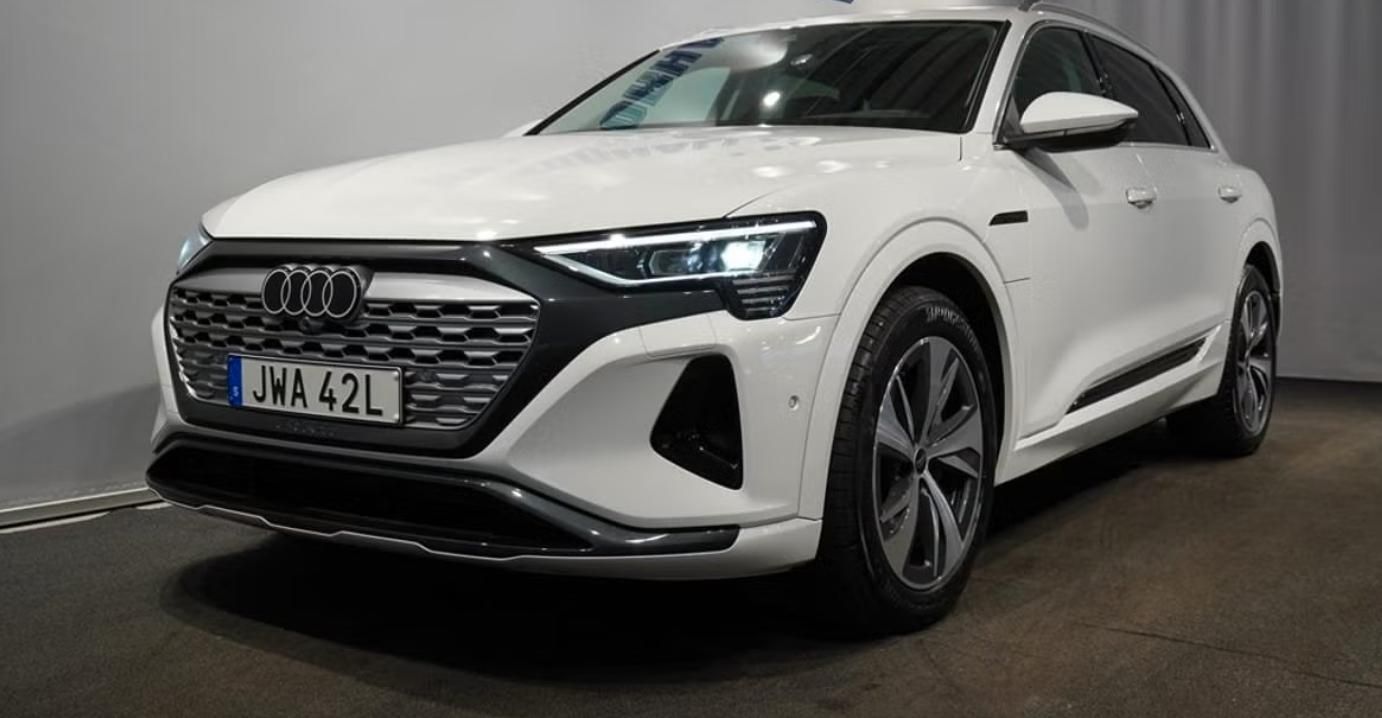 Audi Q8 e-tron, 55 Q Panorama Kamera Ambient