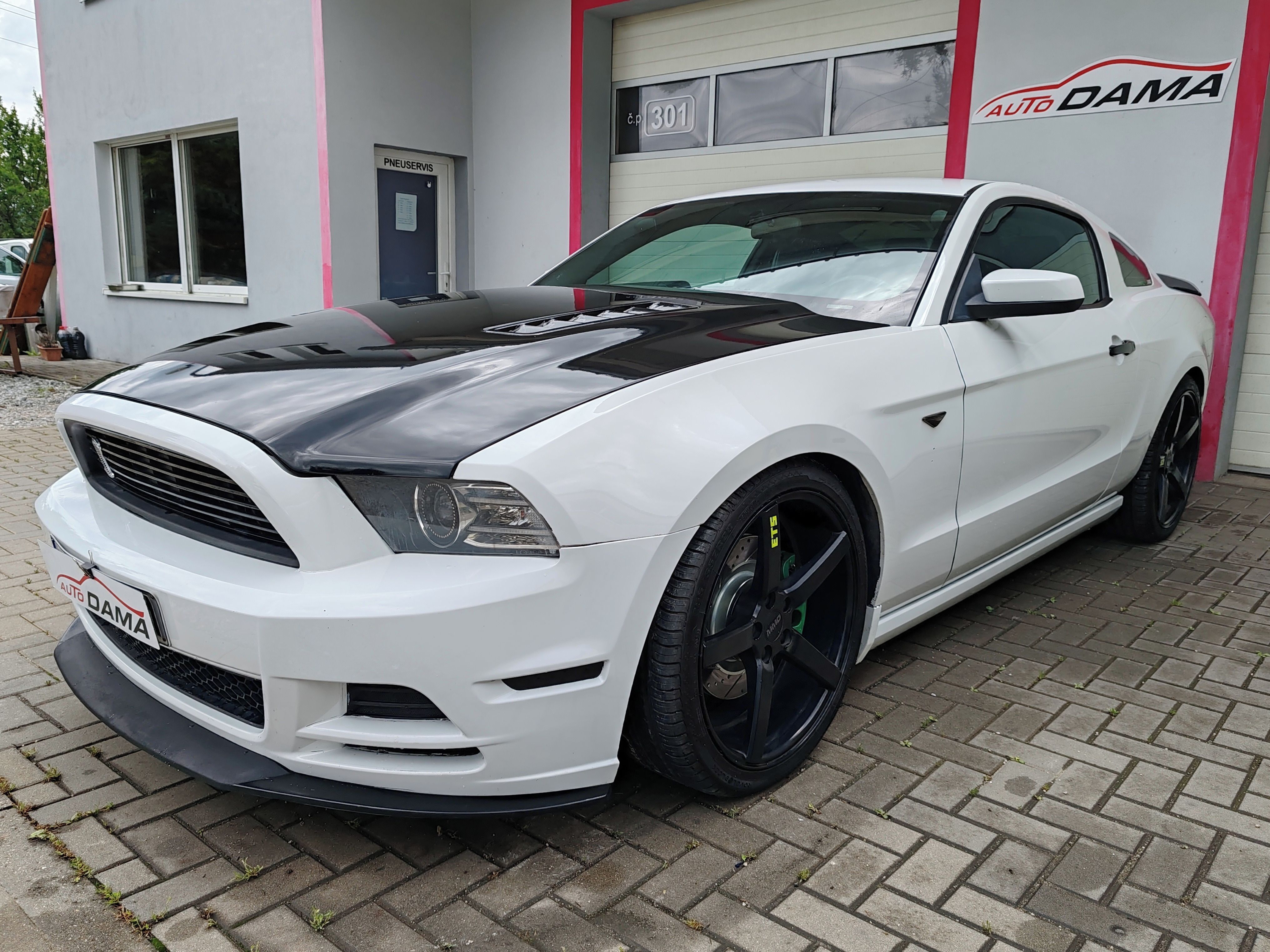 Ford Mustang, 5.0 GT CCA 500PS