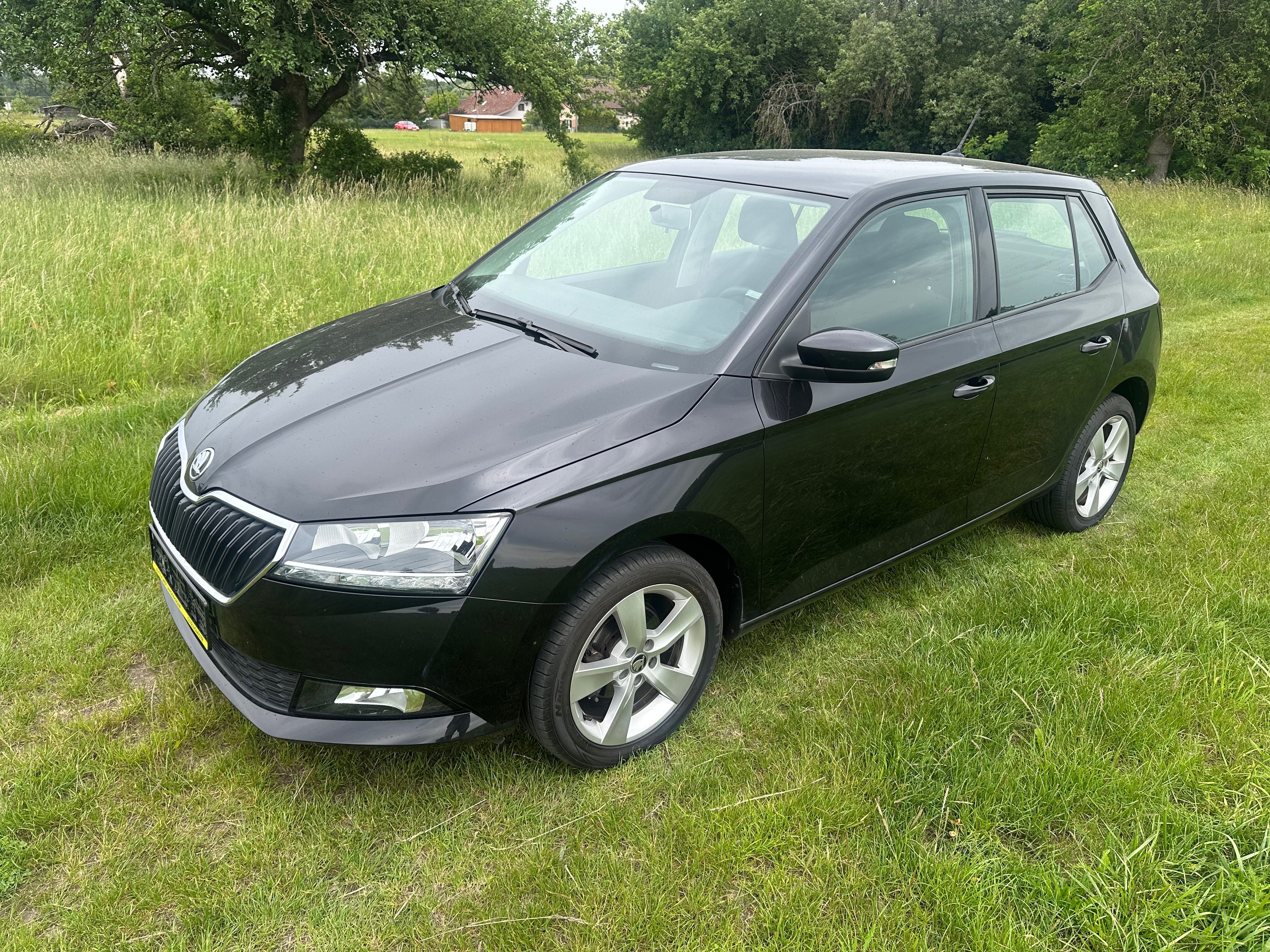 Škoda Fabia, 1.0.MPI-FACELIFT-100000KM-TOP - fotka 3