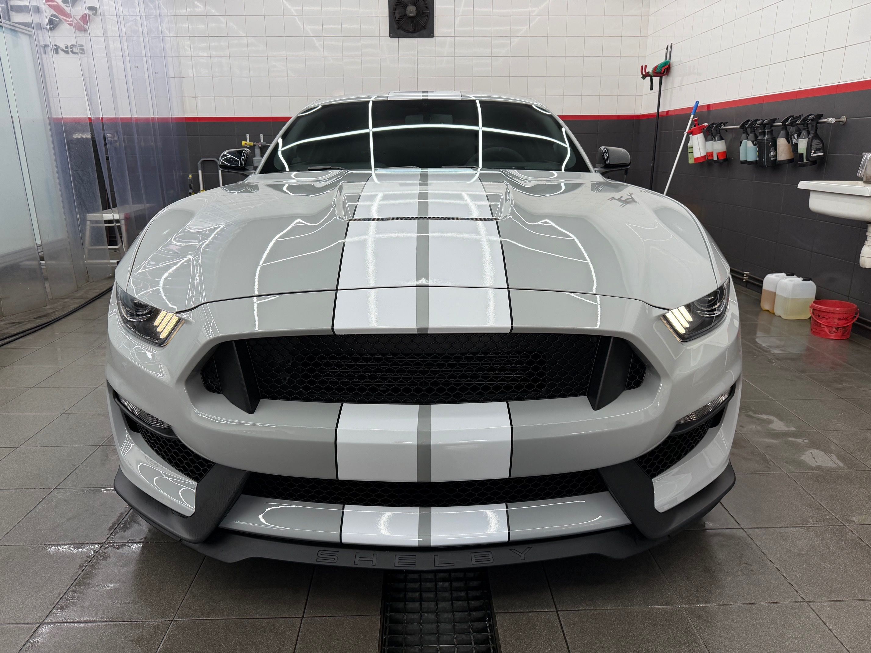Ford Mustang, 5.2L GT350 Shelby,RECARO - fotka 3