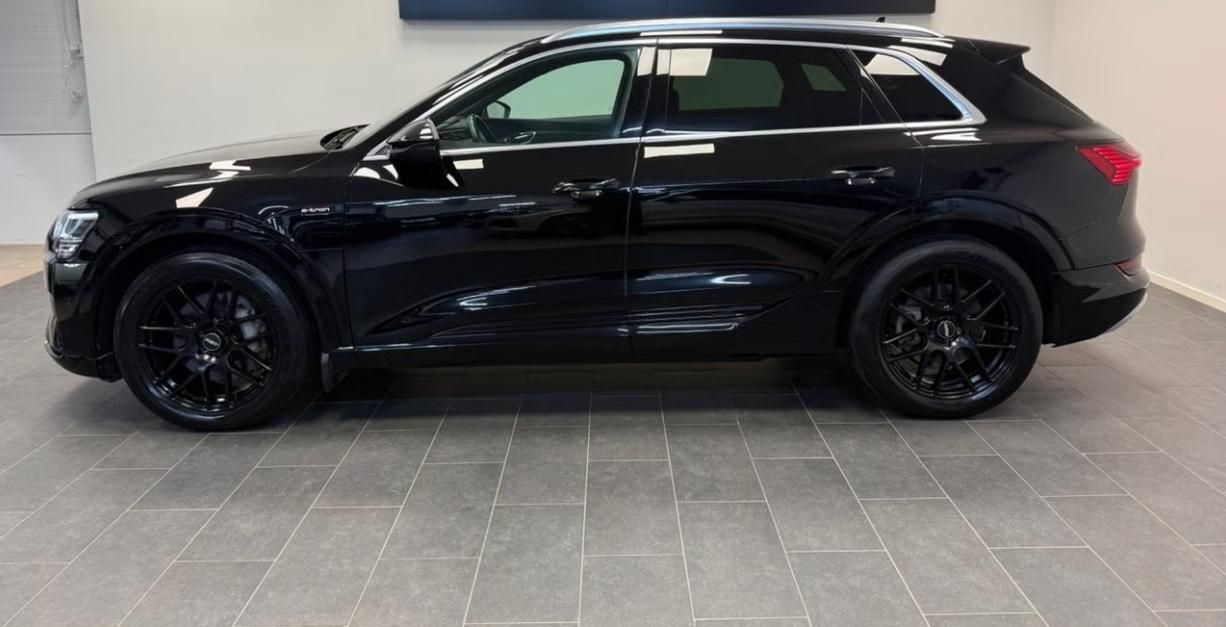 Audi e-tron, 55 Quattro Kamera Vzduch LED - fotka 2