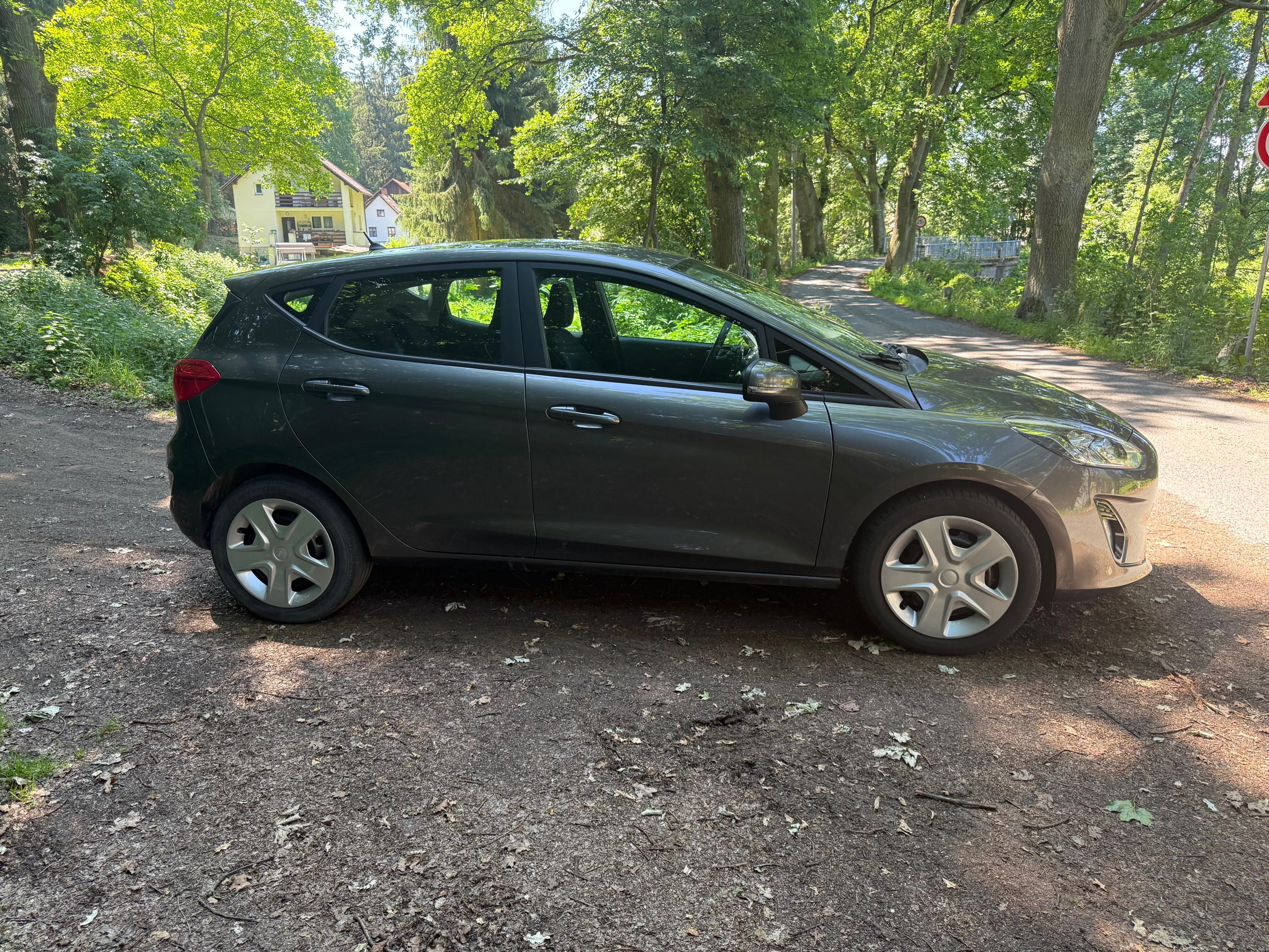 Ford Fiesta, 1,5 TDCi 63 KW.jen 103t.km - fotka 4