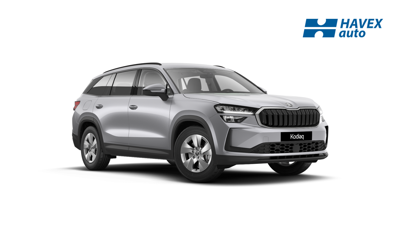 Škoda Kodiaq, Selection 2.0 TDI 110 kW DSG
