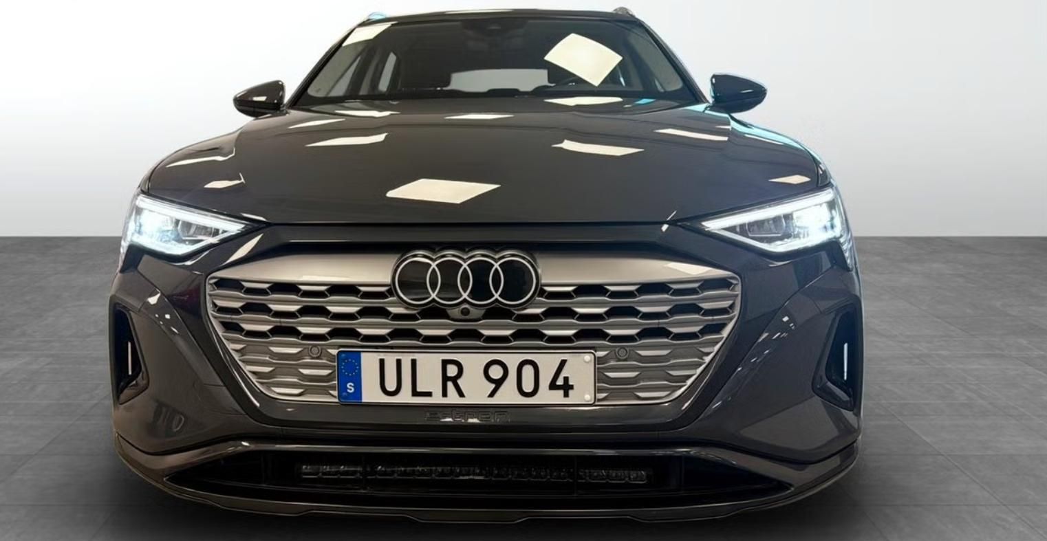 Audi Q8 e-tron, 55 Quattro Kamera Ambient LED - fotka 4