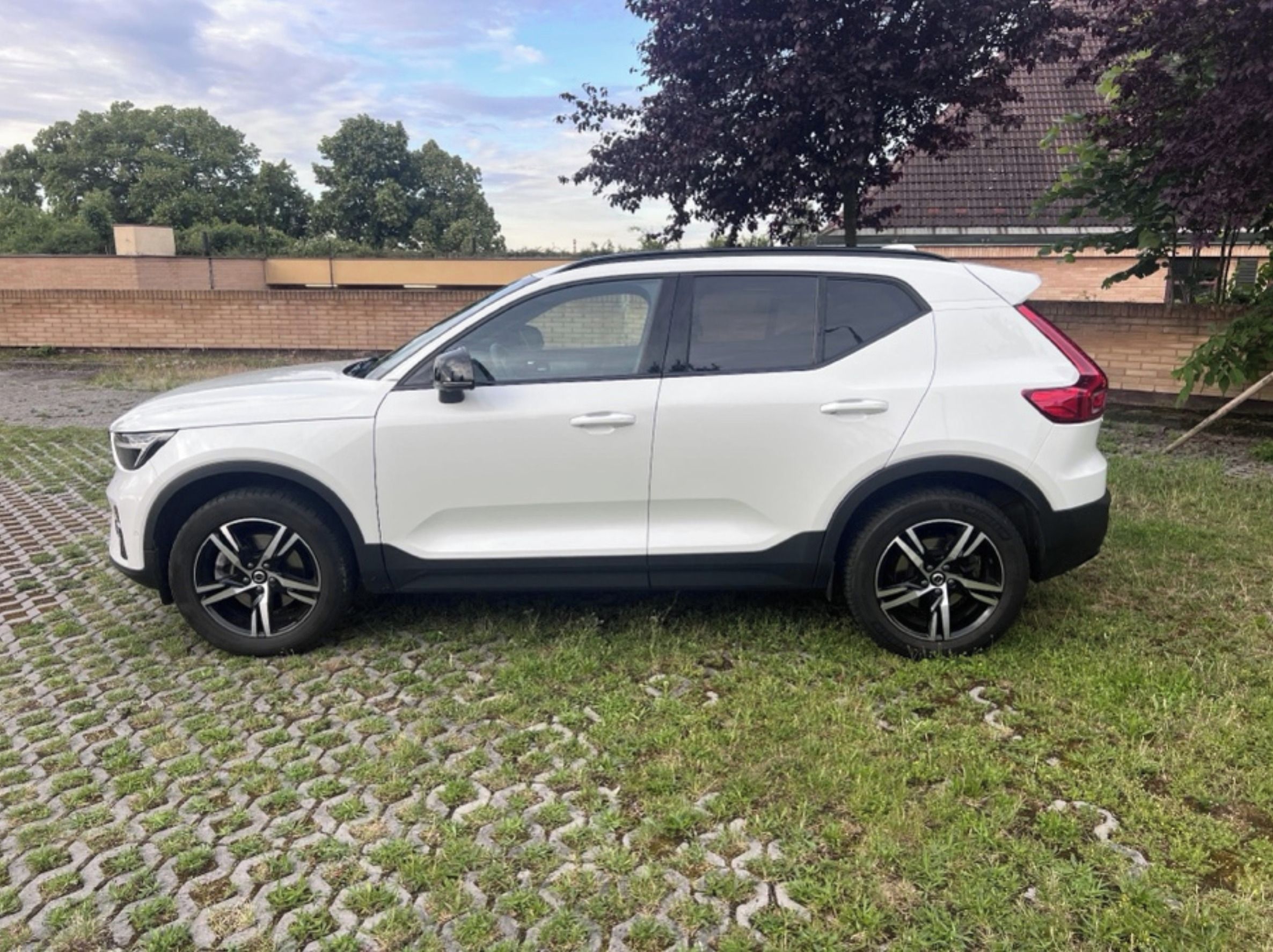 Volvo XC40, B3 Plus Dark Mild Hybrid Auto - fotka 3