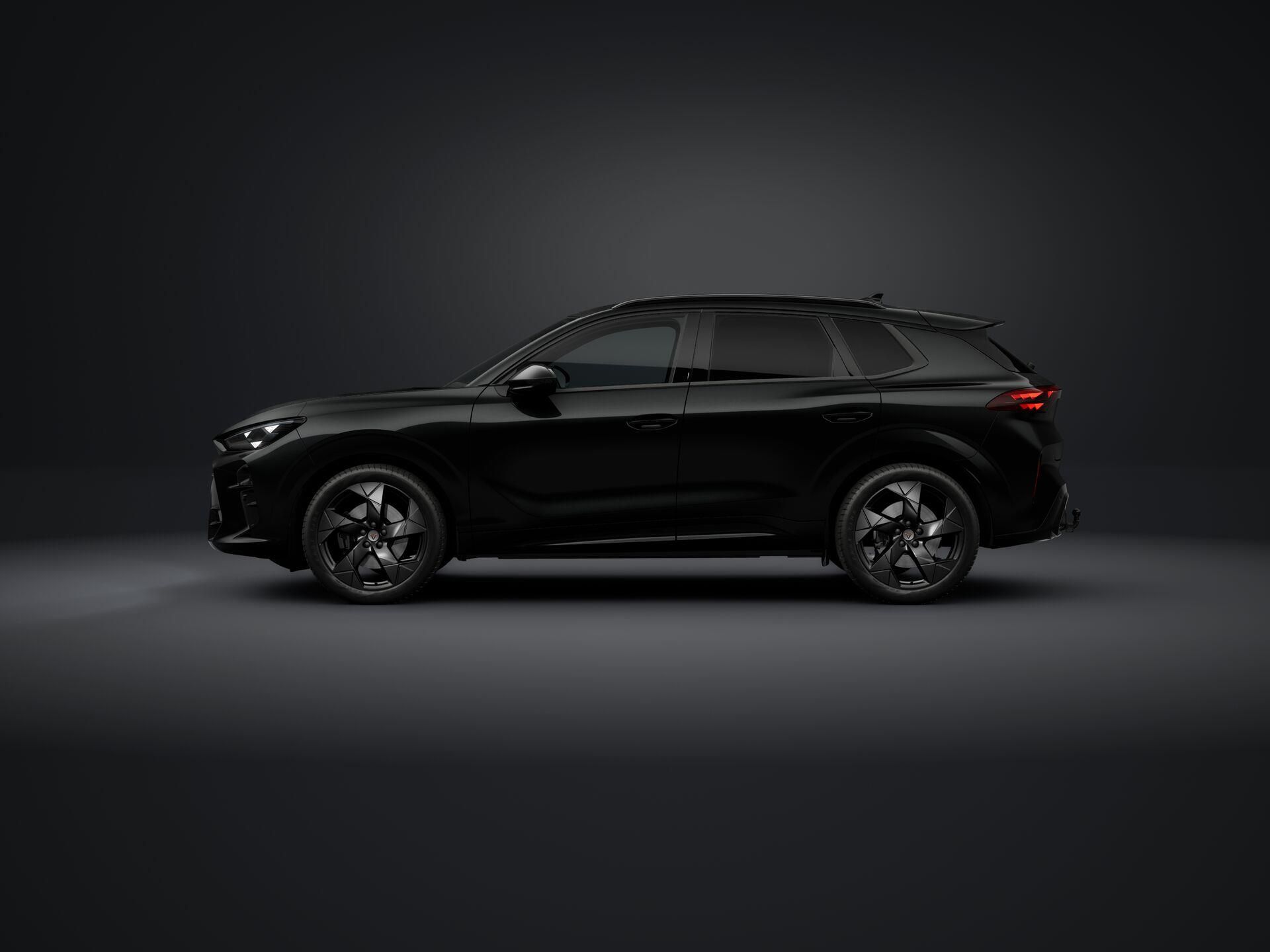 Cupra Terramar, 2.0 TSI / 150 kW - fotka 2