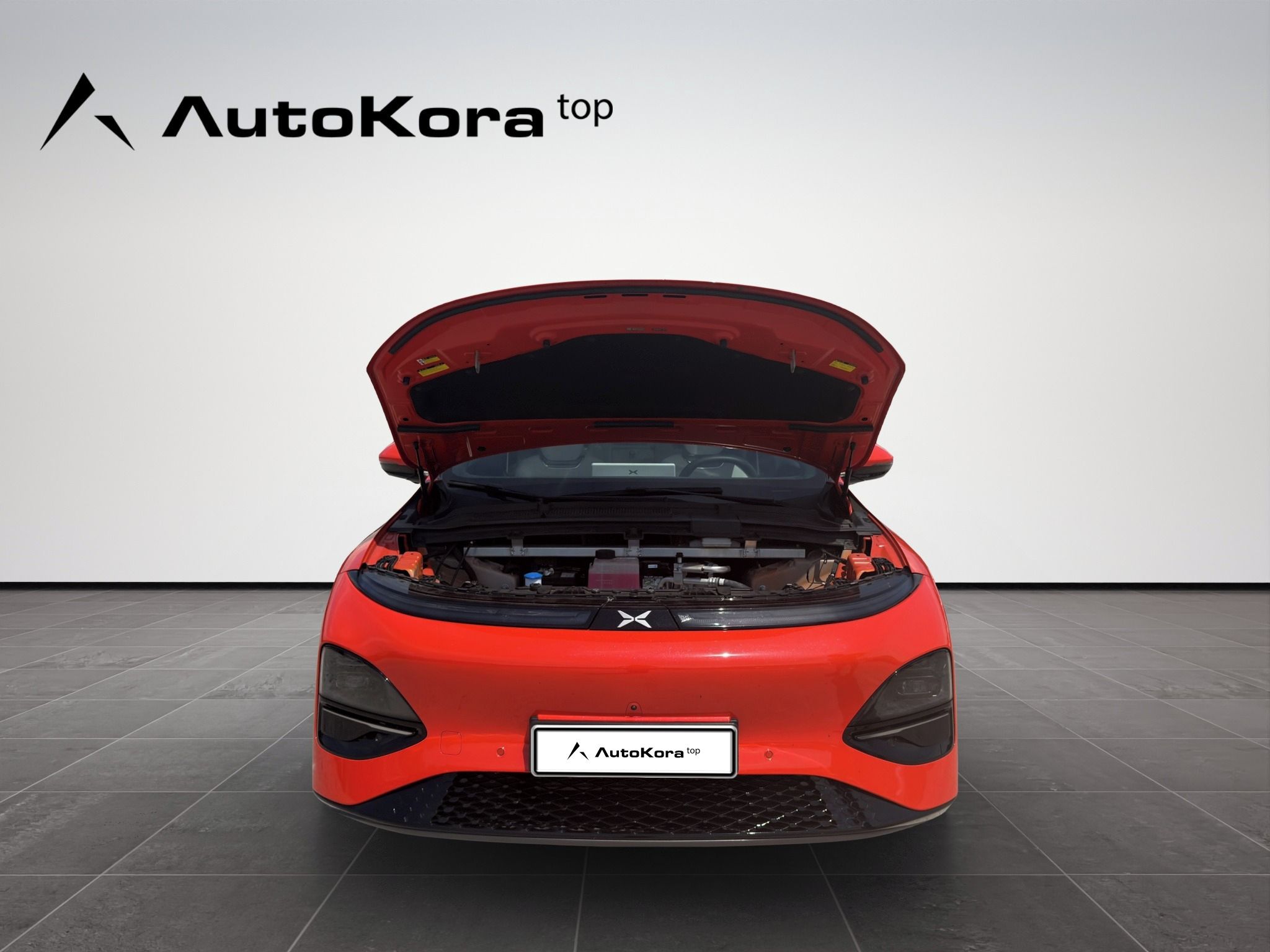 XPENG G6, AWD Performance, 350kW - fotka 3
