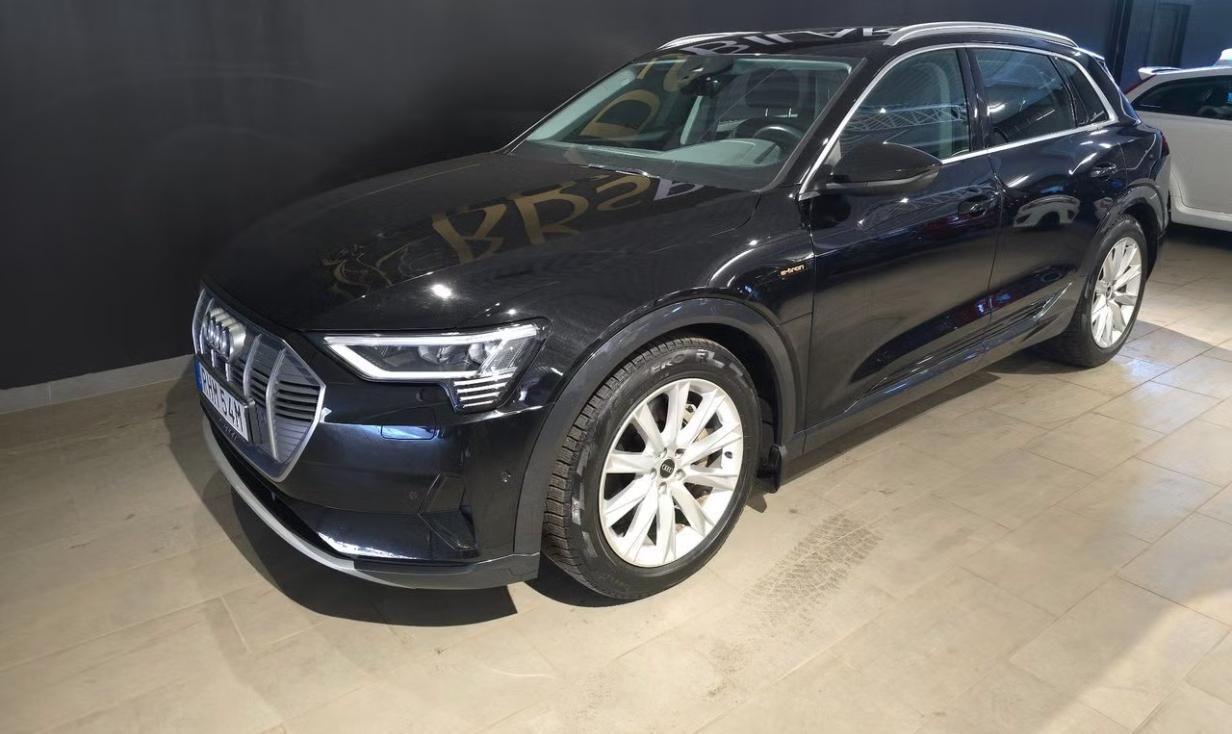 Audi e-tron, 55 Quattro Kamera Vzduch LED