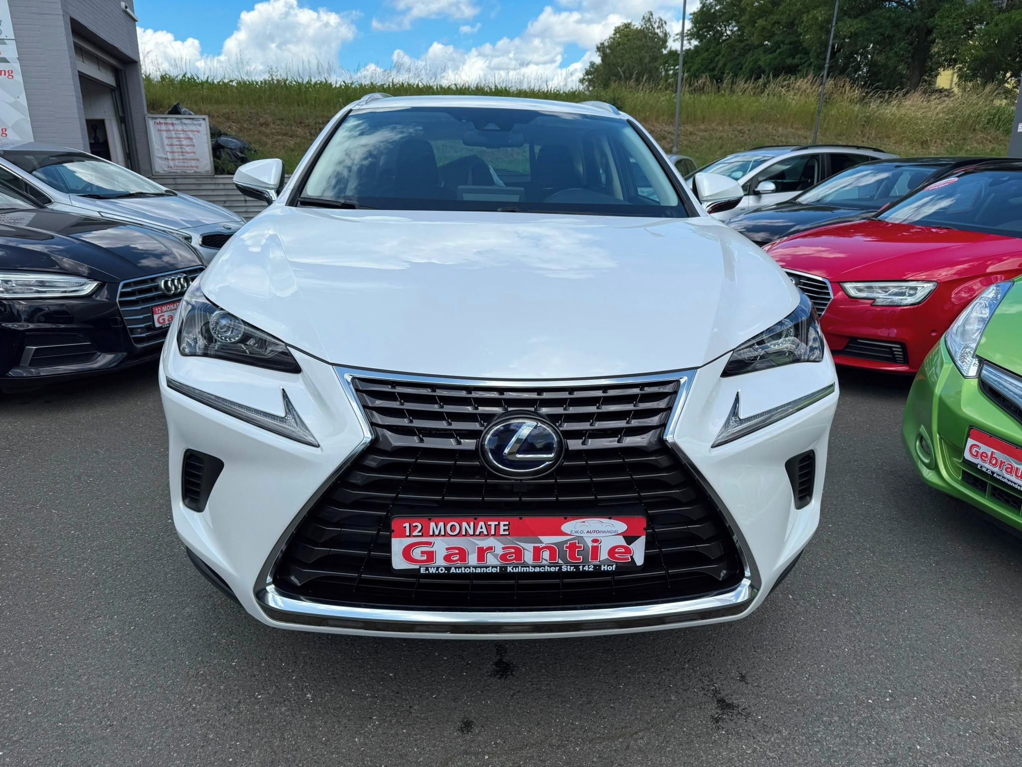 Lexus NX 300h, Lexus NX300 hybrid - fotka 3
