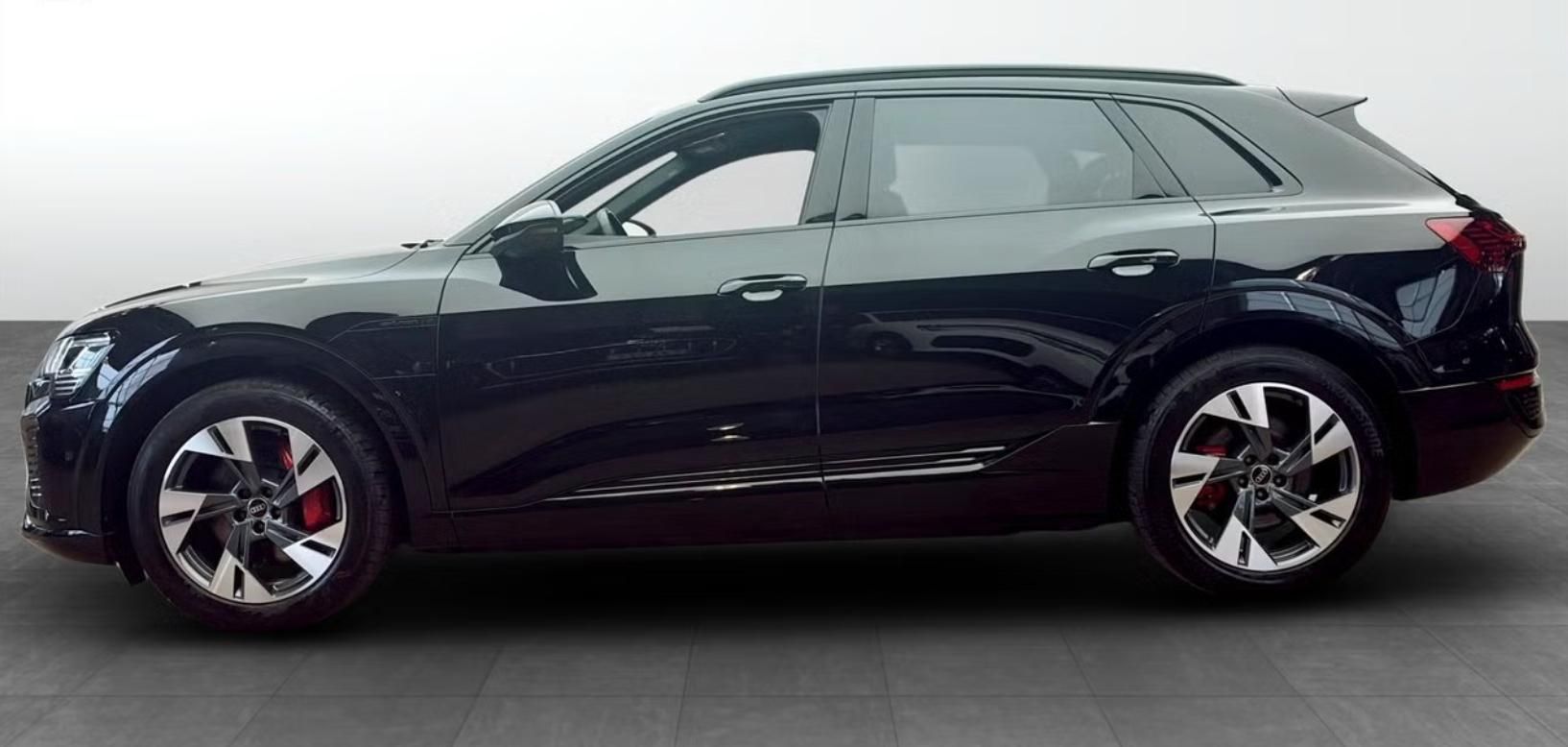 Audi Q8 e-tron, 55 Q S-Line Kamera Tažné LED - fotka 2