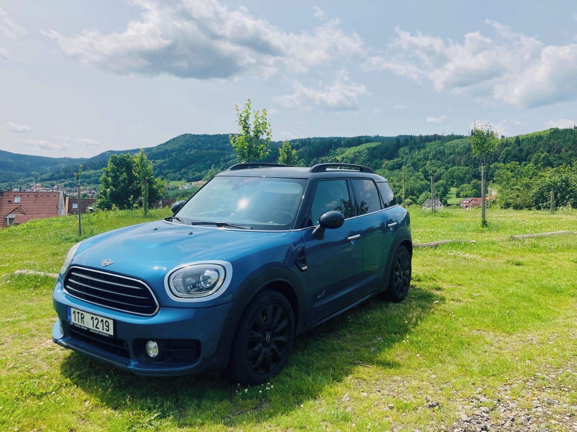Mini Countryman, Mini Countryman 4x4